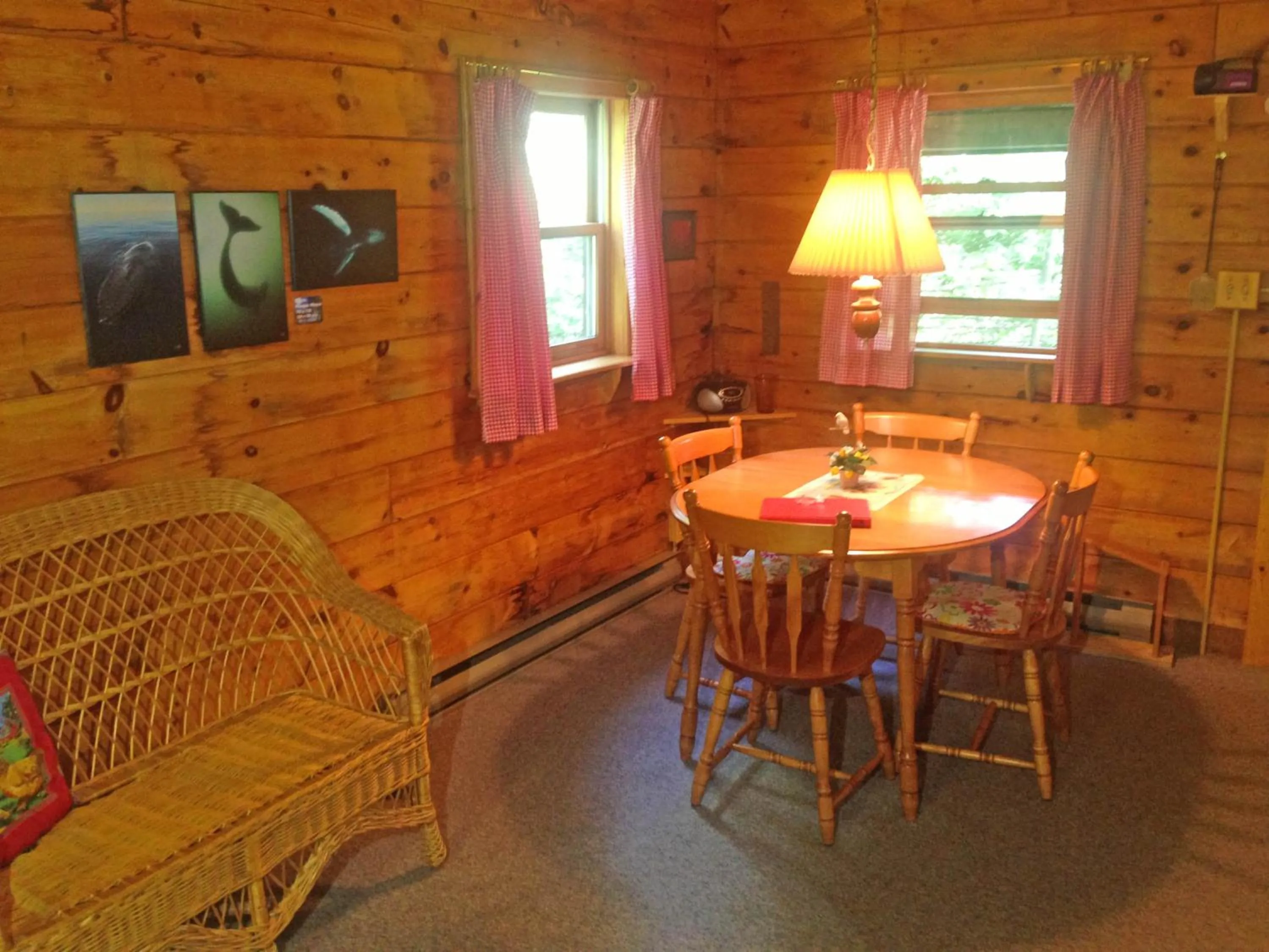 Living room in Vipilodge