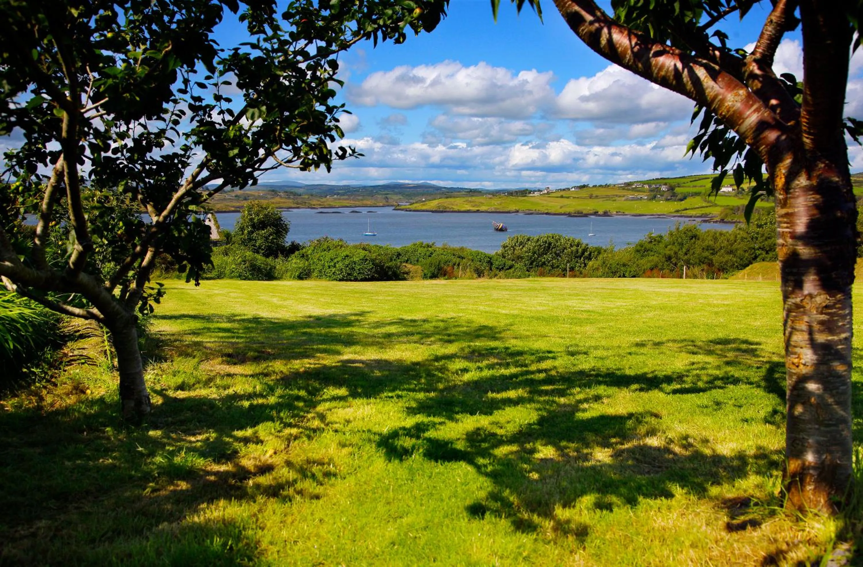 Garden in Casey's Of Baltimore Collection