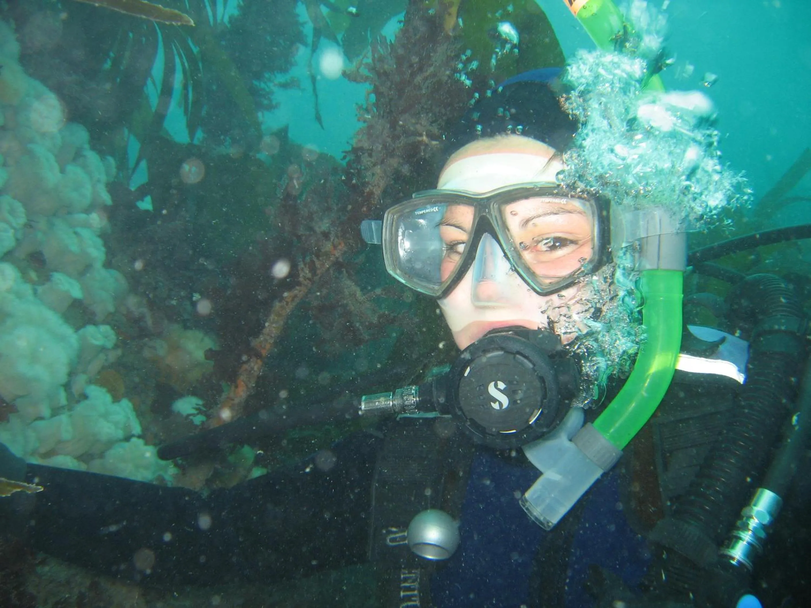 Diving in Casey's Of Baltimore Collection