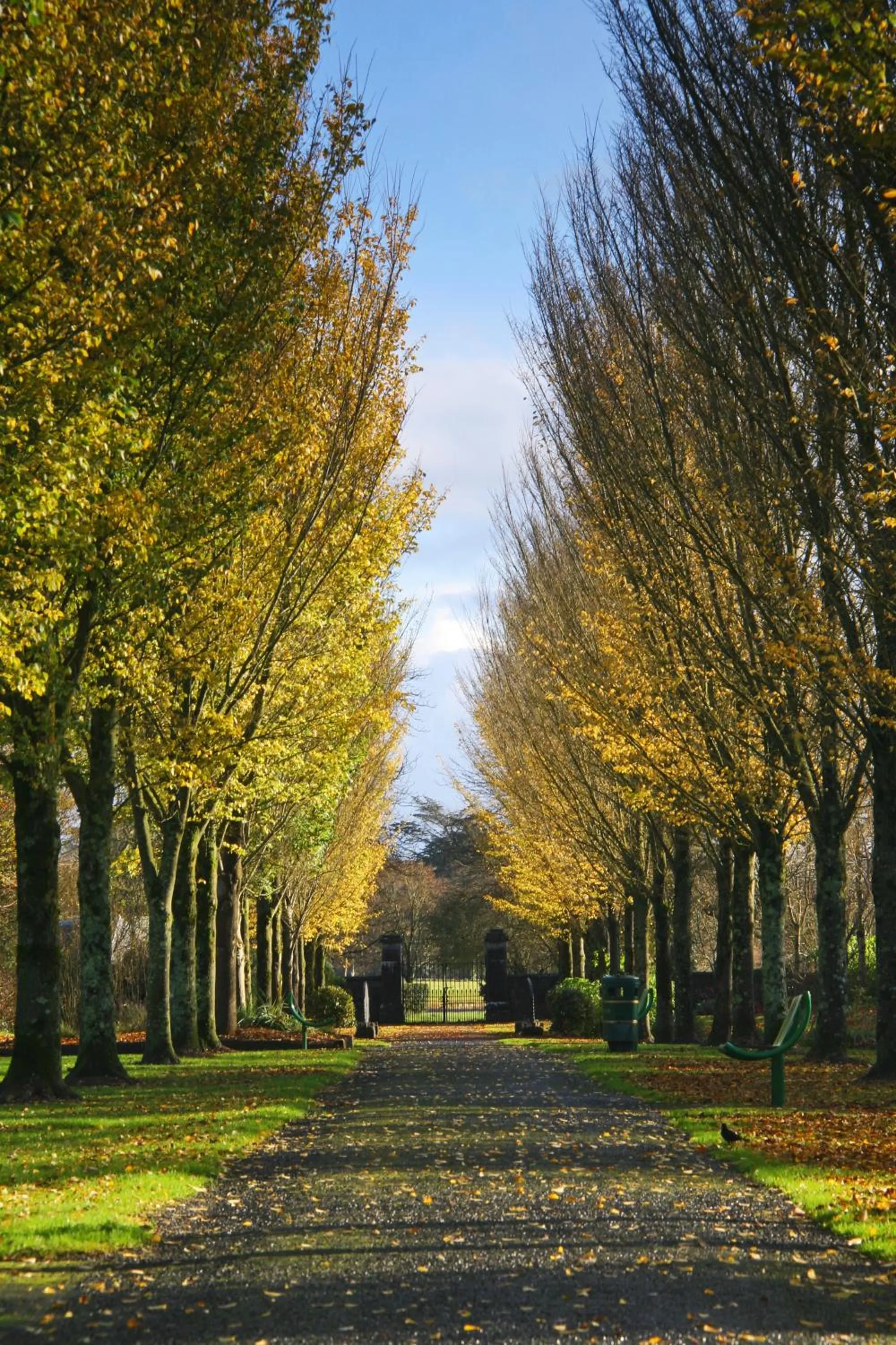 Garden in The Dunraven, Adare