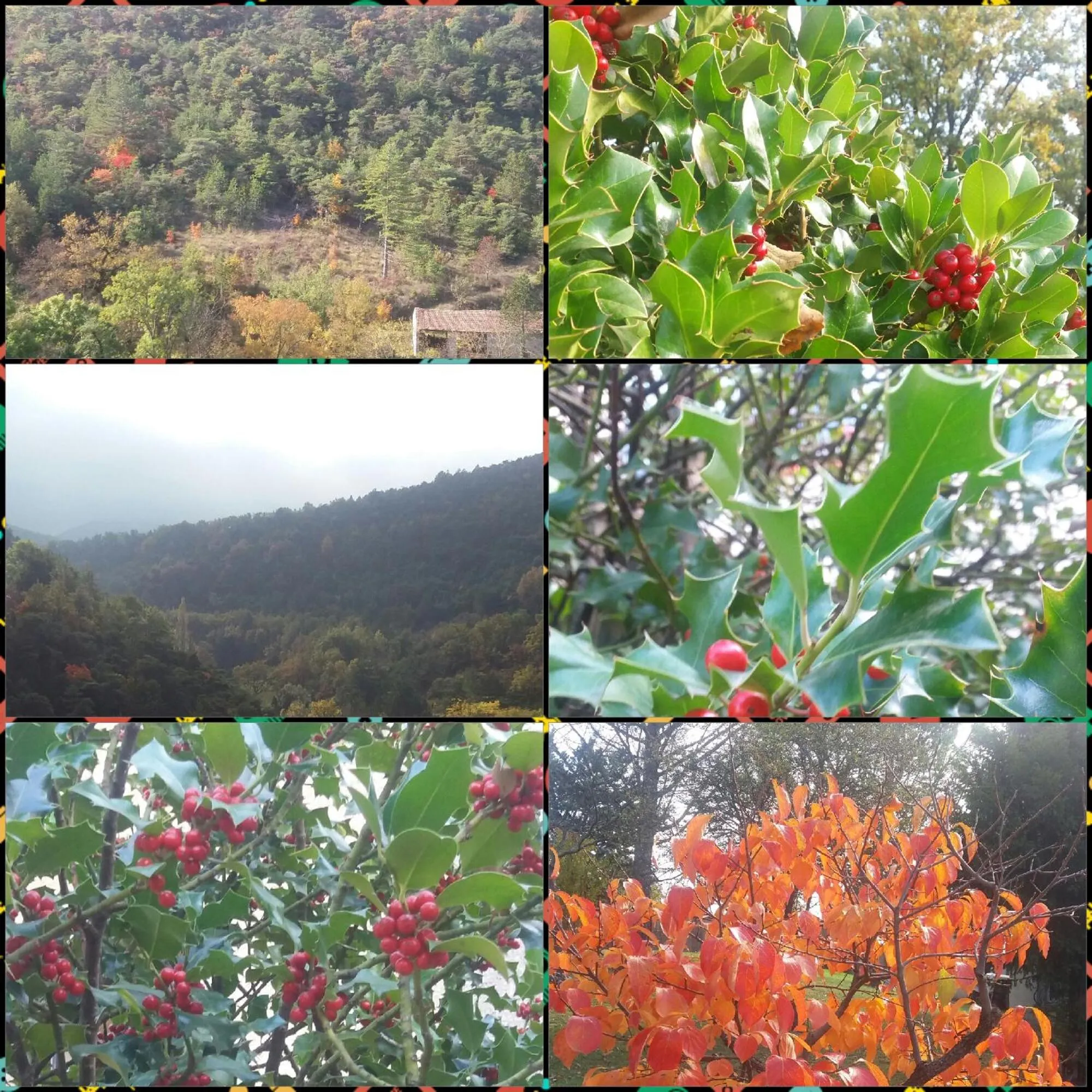 Natural landscape in "Le Pigeonnier" chambre d'hôte
