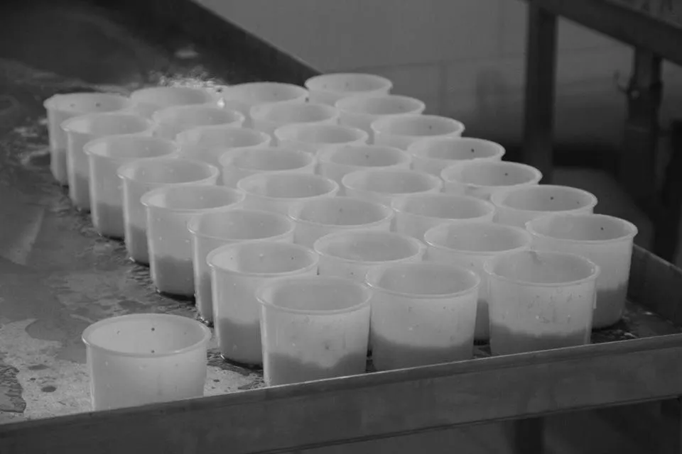 Entertainment in "Le Pigeonnier" chambre d'hôte