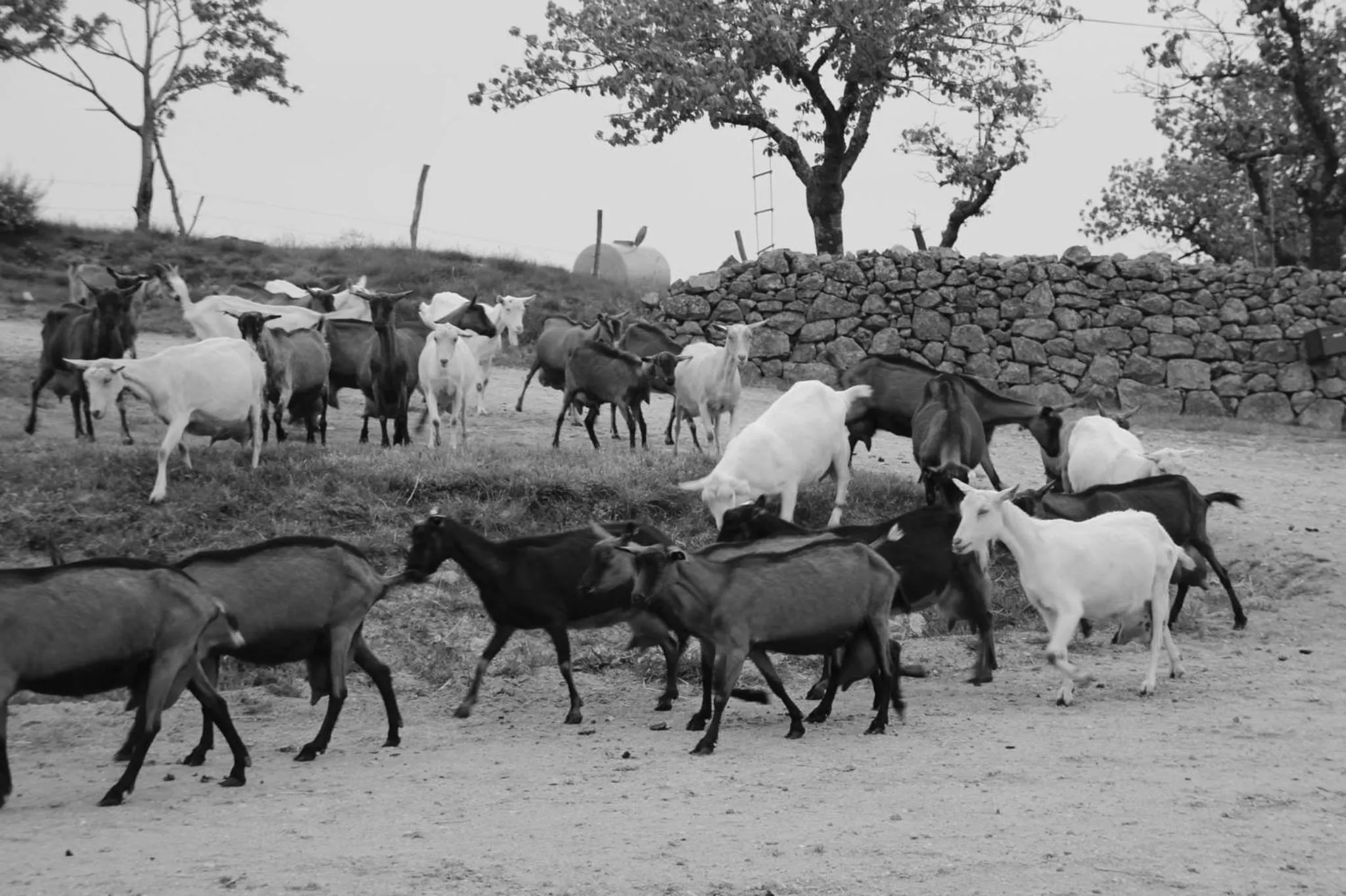 Off site in "Le Pigeonnier" chambre d'hôte