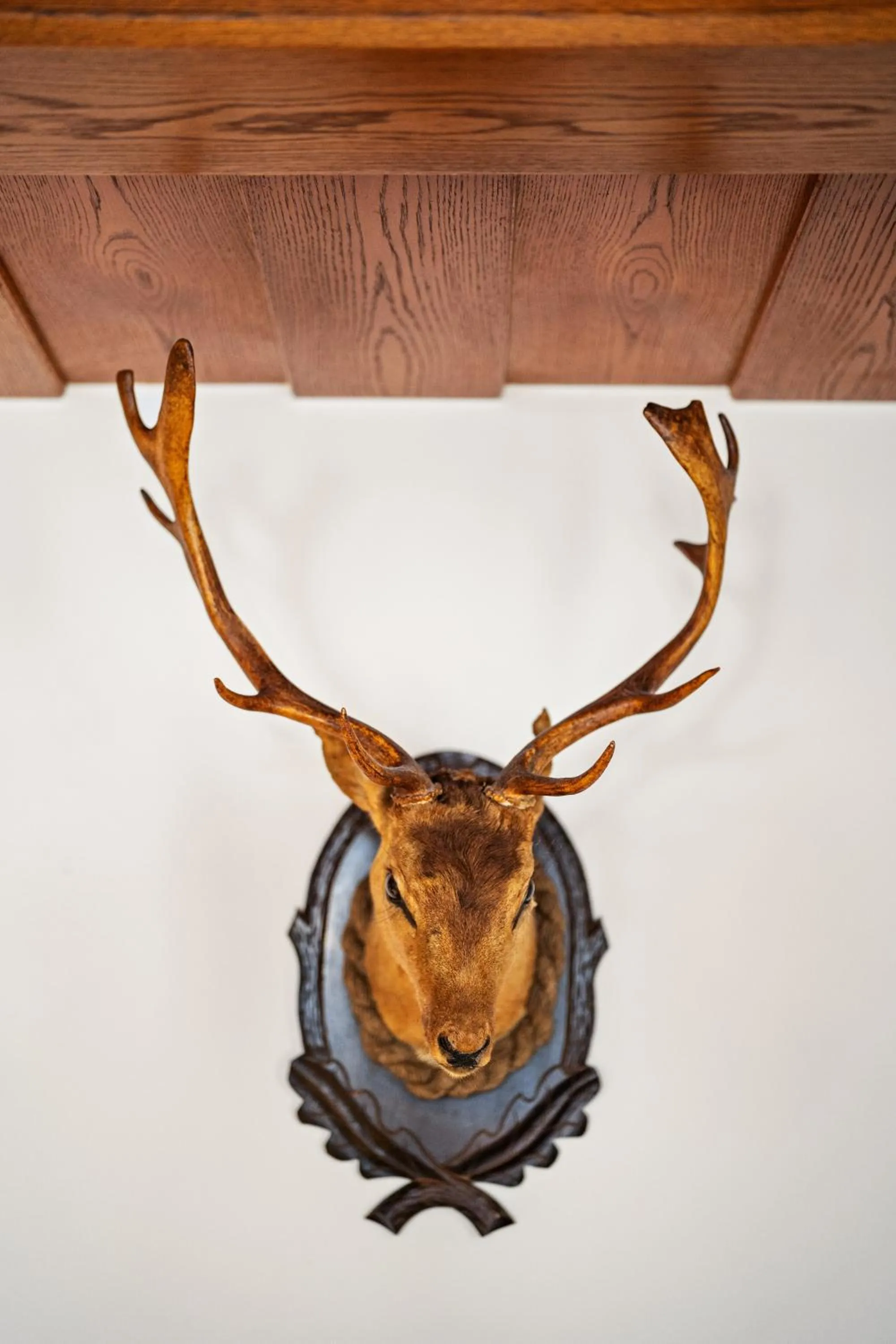 Restaurant/places to eat in Hotel Zur Post