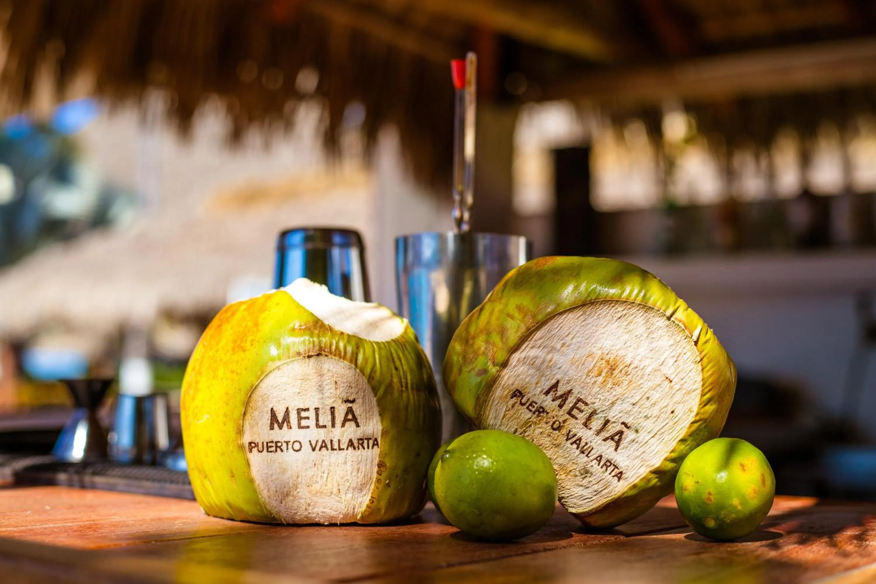 Area and facilities in Meliá Puerto Vallarta – All Inclusive