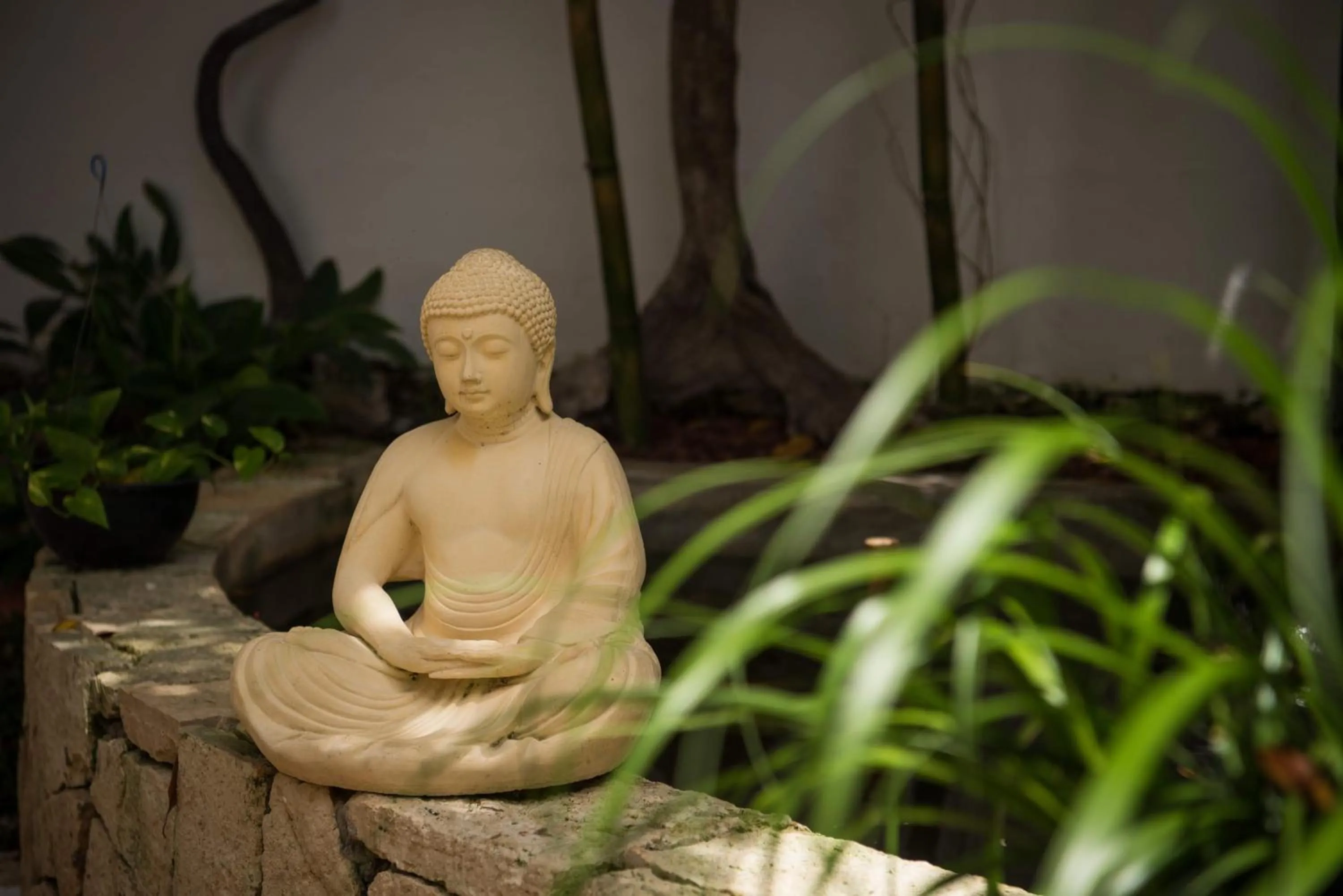 Garden view in Ocean Zen Suites on 5th Avenue - Adults Only