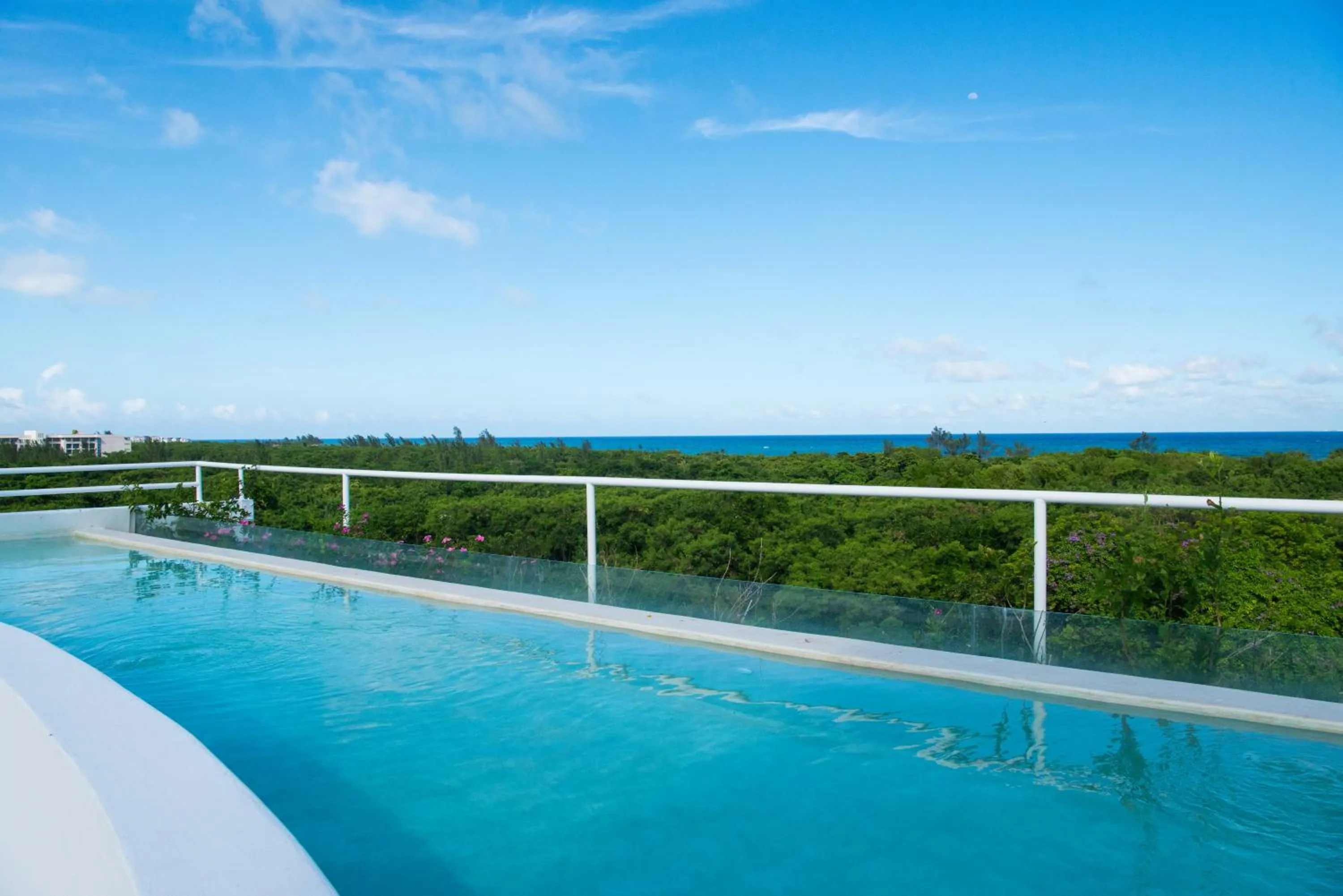 Pool view in Ocean Zen Suites on 5th Avenue - Adults Only