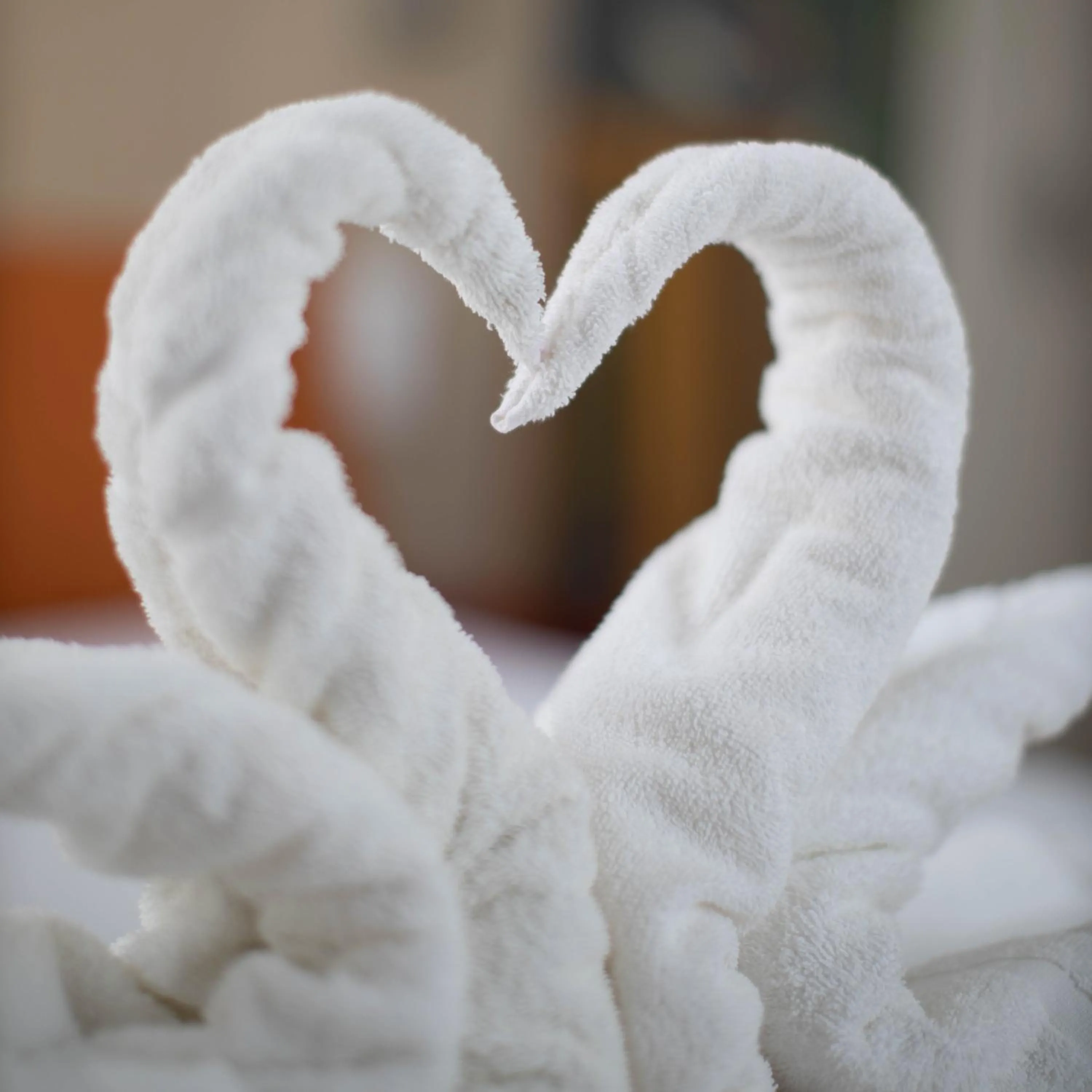 Photo of the whole room in Hotel Continental