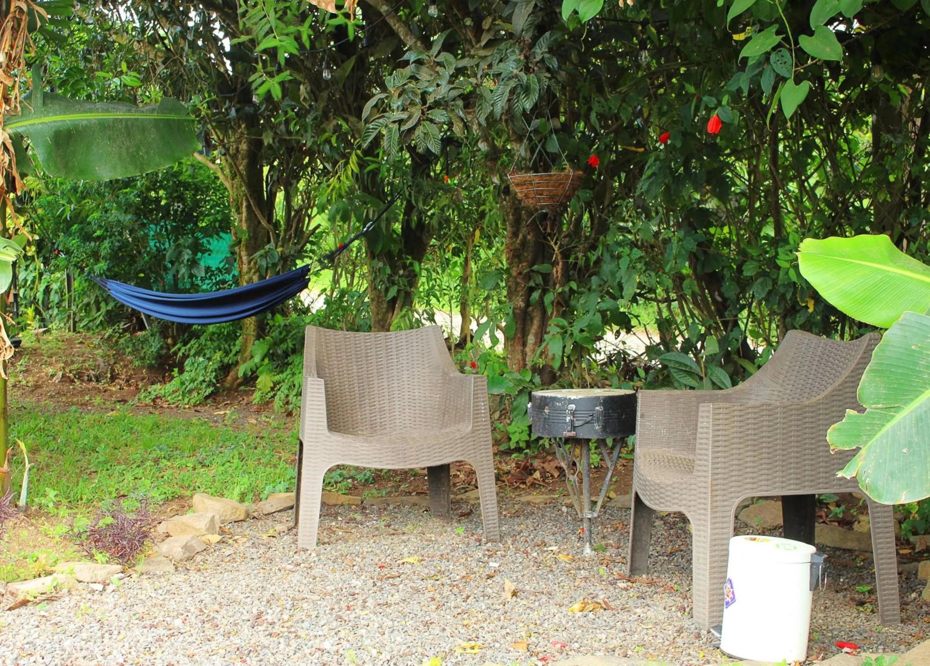 Garden view in Casa Jungle Monteverde B&B