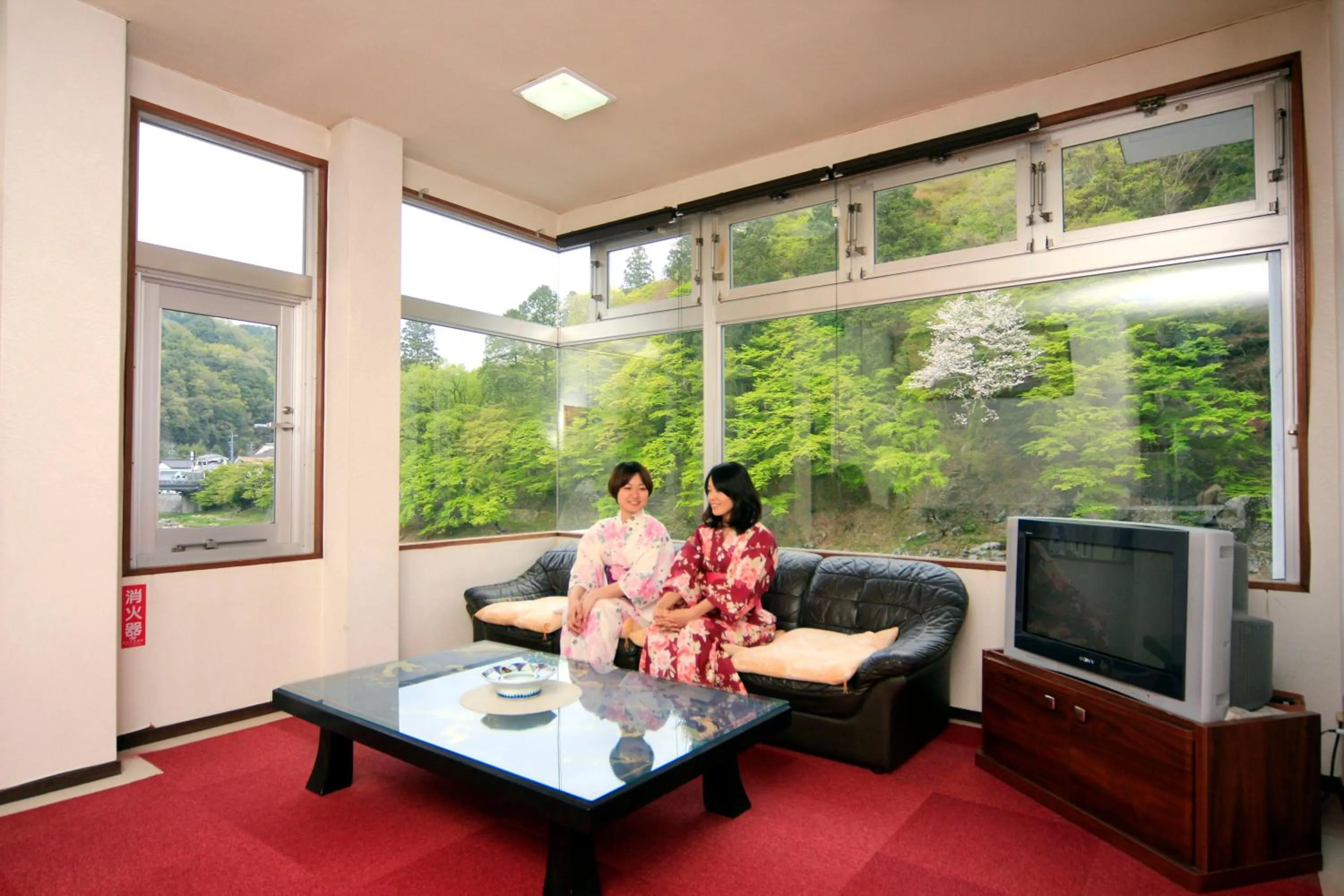 Communal lounge/ TV room in Korantei