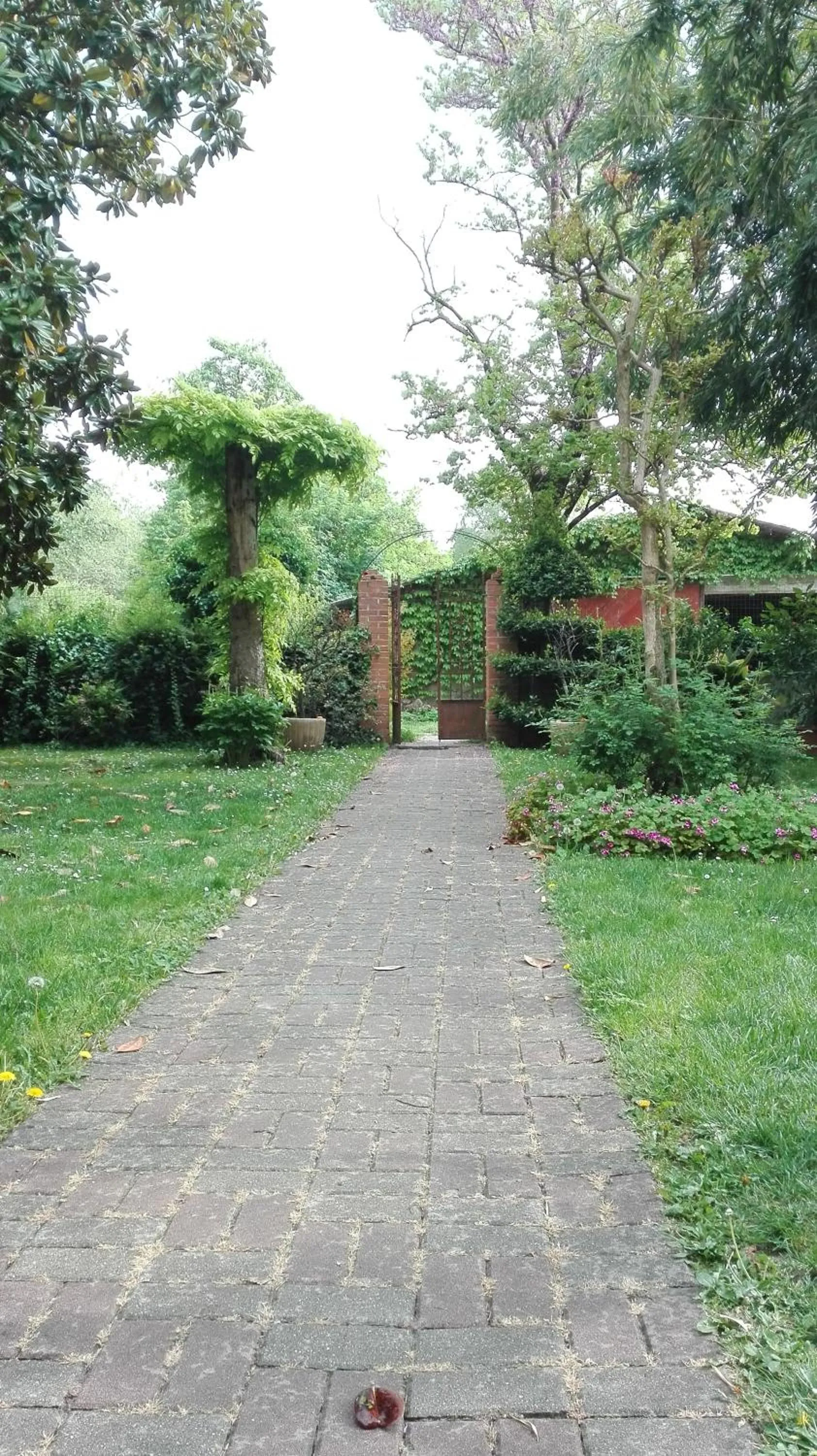 Garden view in B&B da Miriam