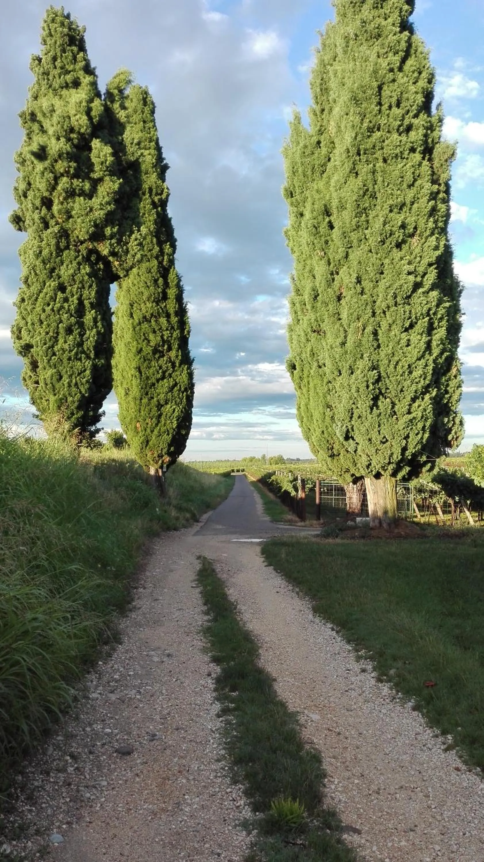 Natural landscape in B&B da Miriam