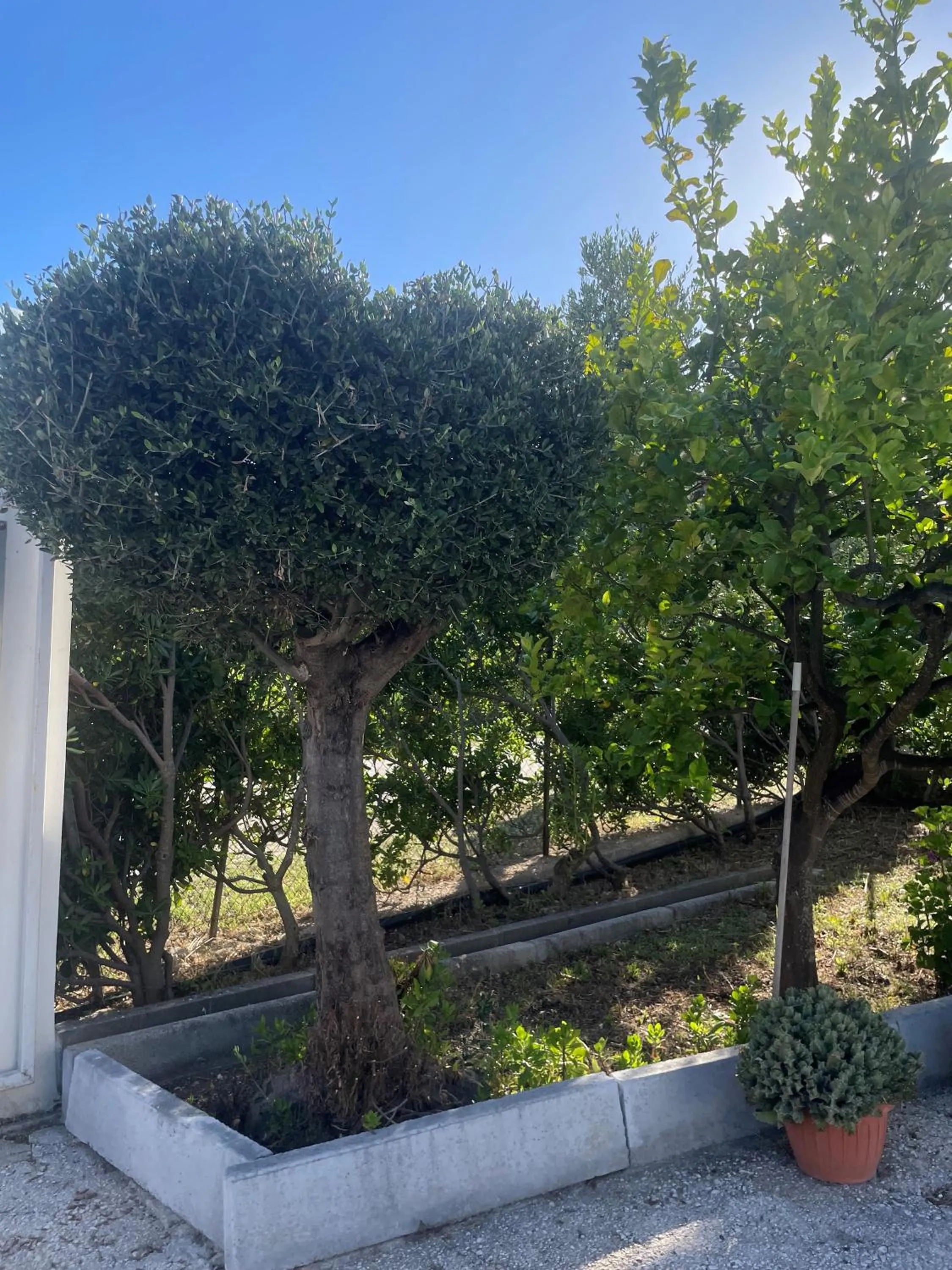 Property building in Hotel Ponte