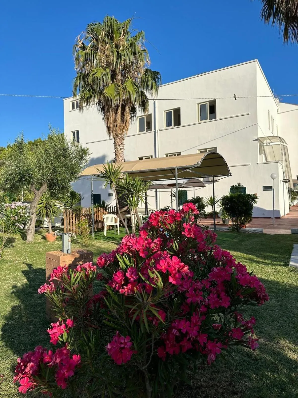 Garden in Hotel Ponte