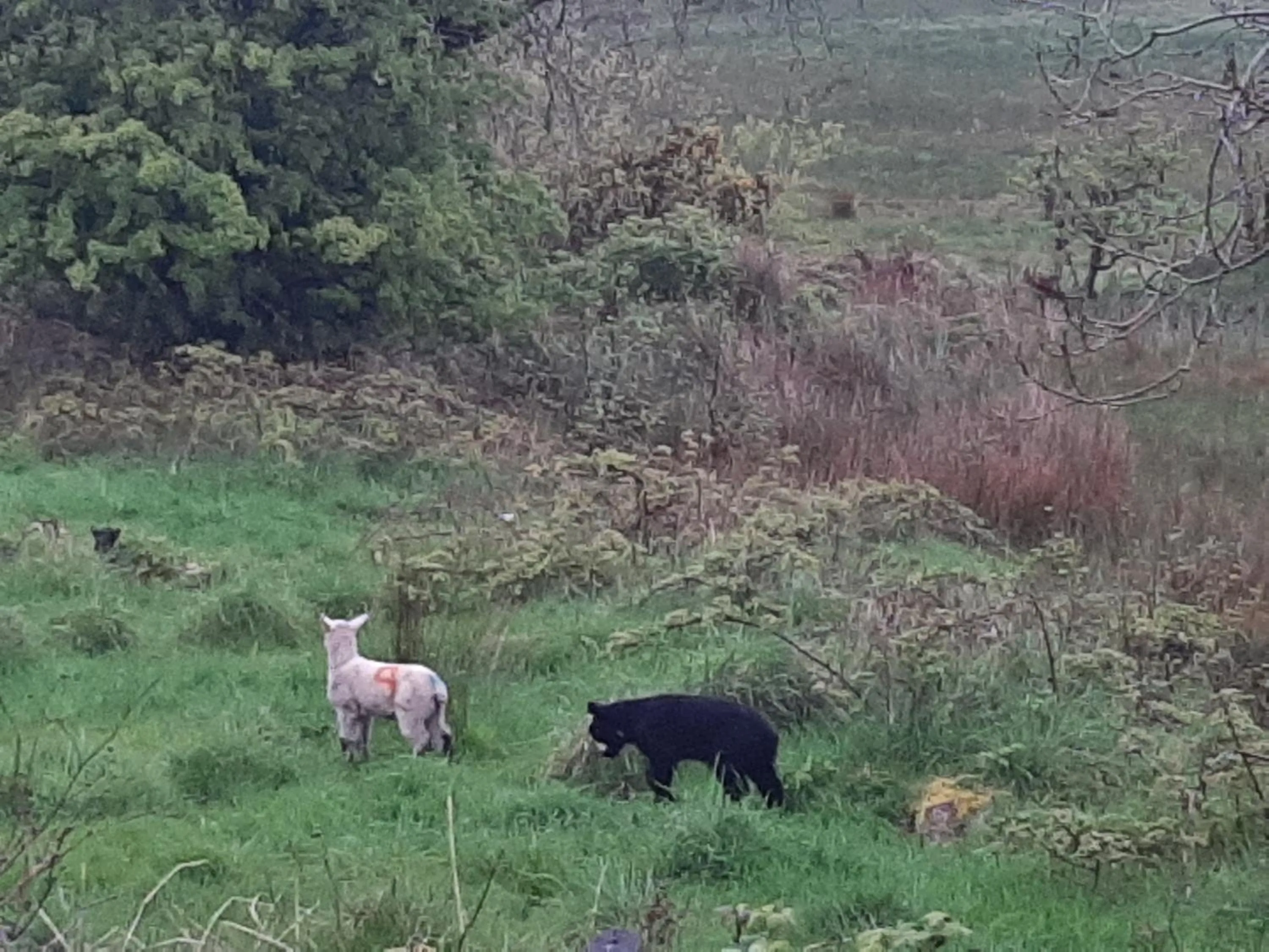 View (from property/room) in Holland House F94DP26