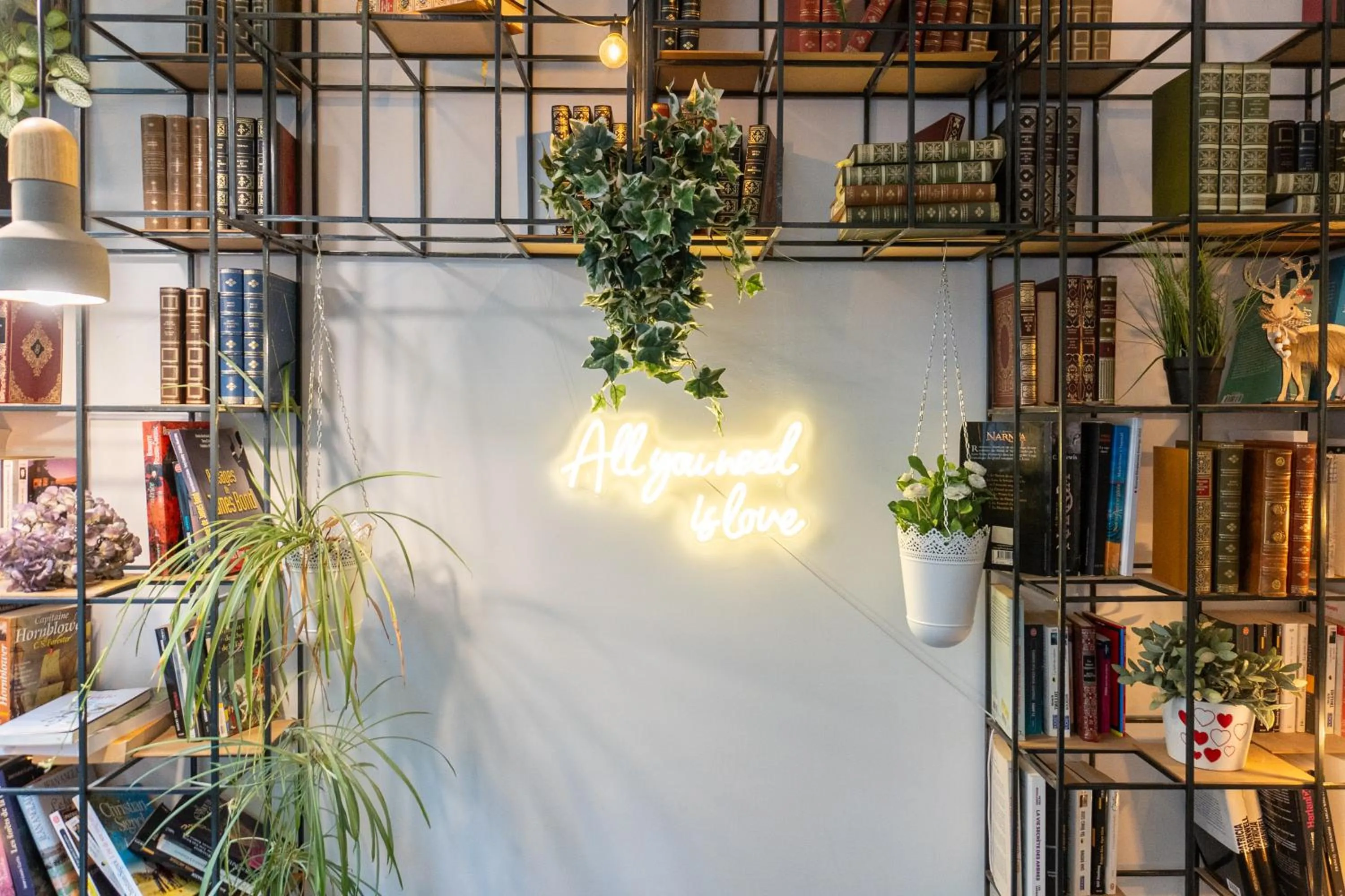Library in Atypik Hotel