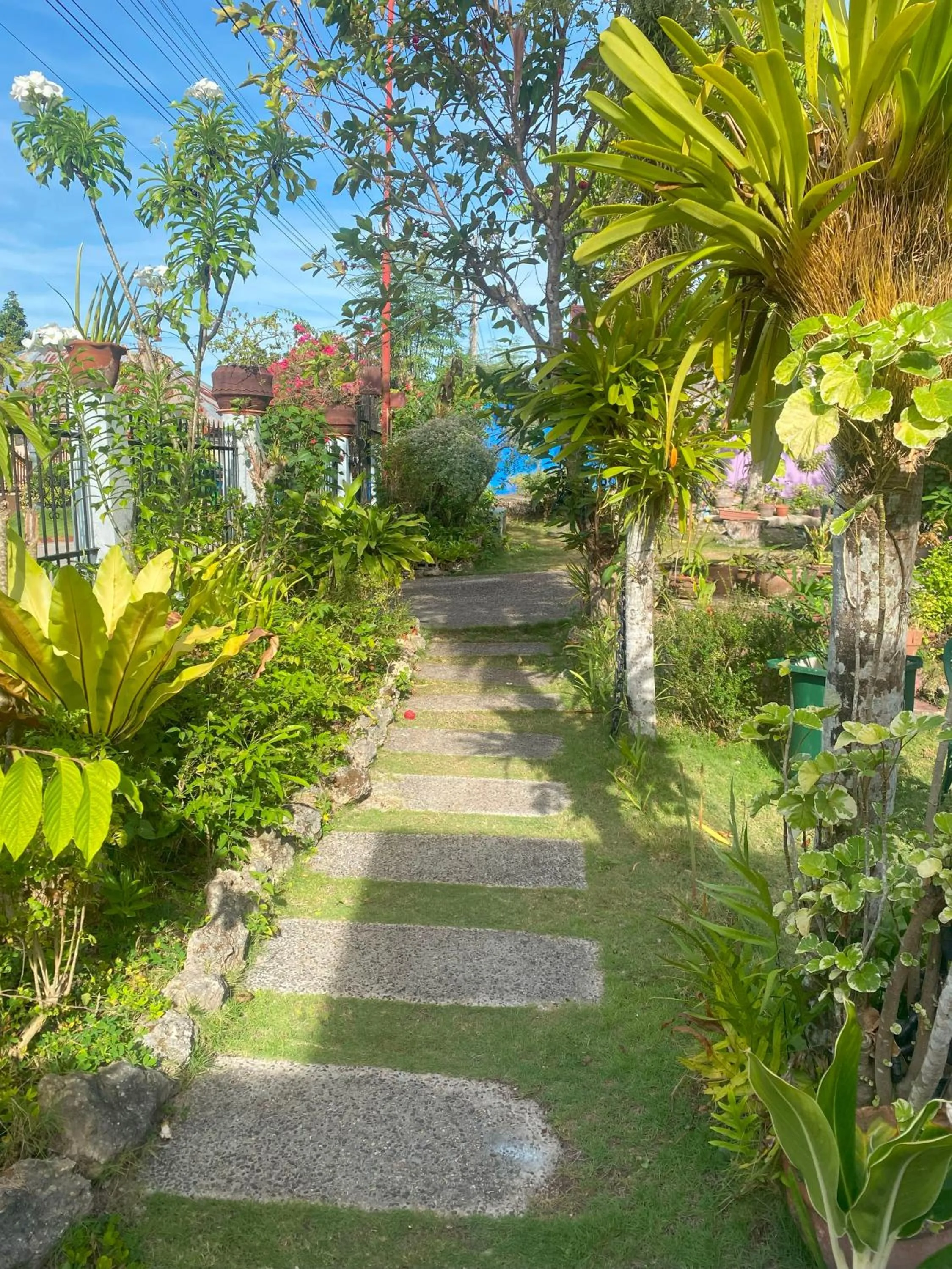 Garden in Villa 301 B&B