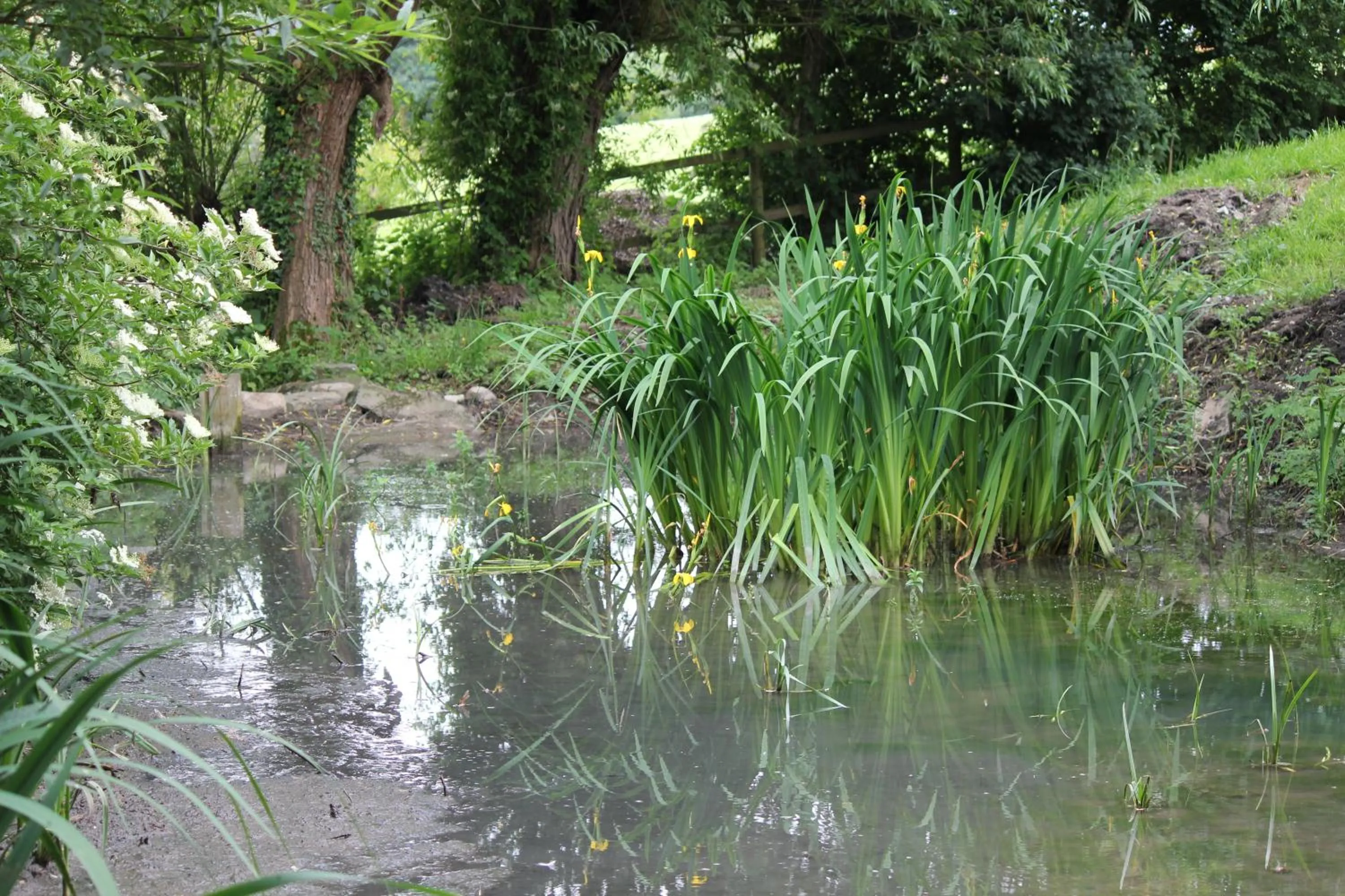 Garden in West Knole House Somerset