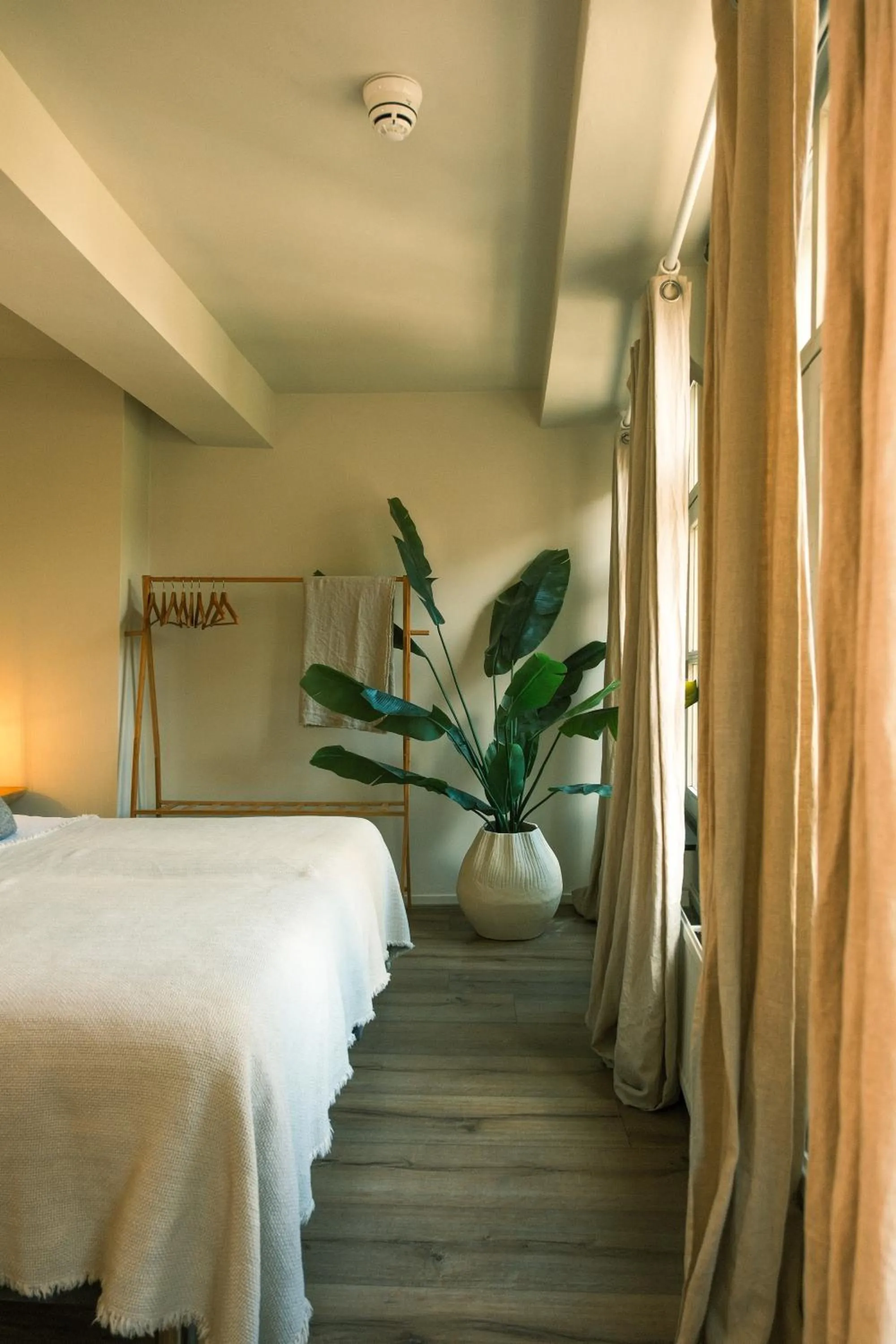 Bed in Milk and cookies