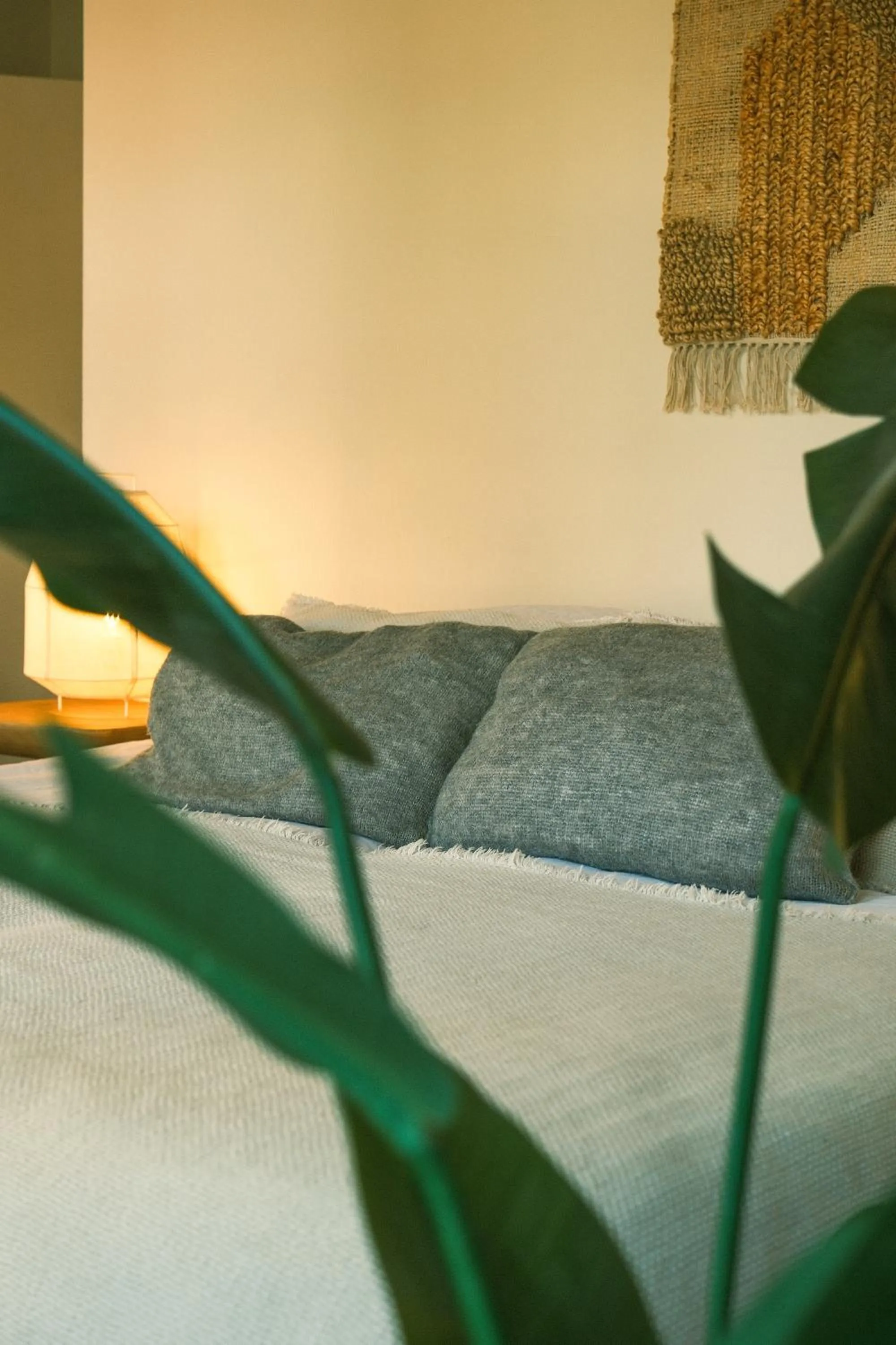 Bed in Milk and cookies