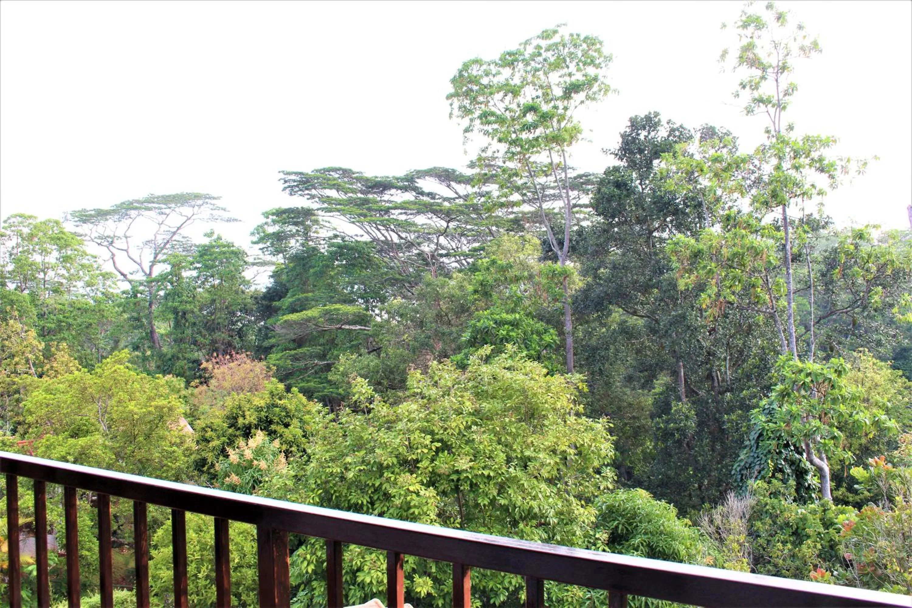 View (from property/room) in e-stay Hanthana Kandy