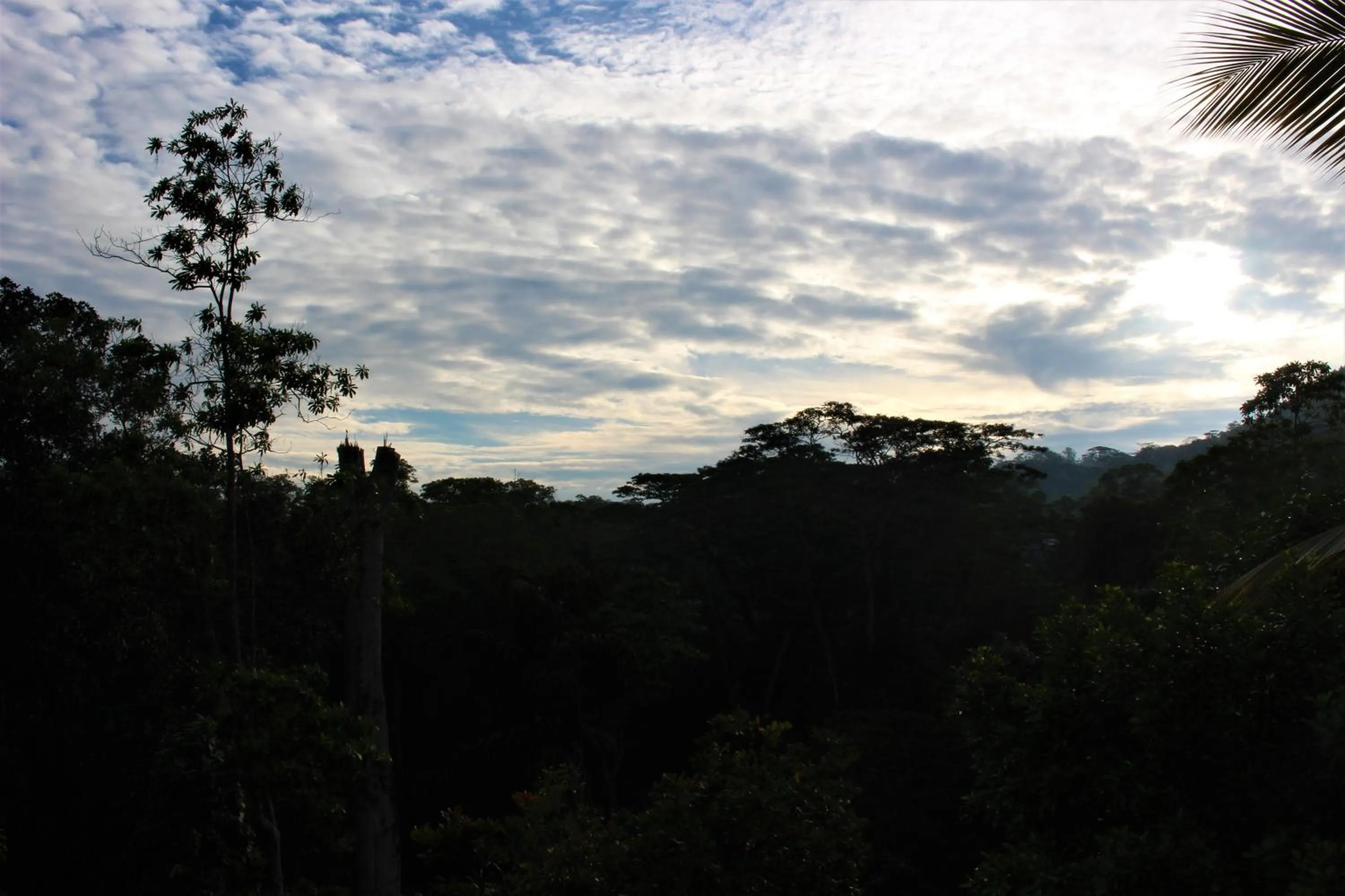 View (from property/room) in e-stay Hanthana Kandy