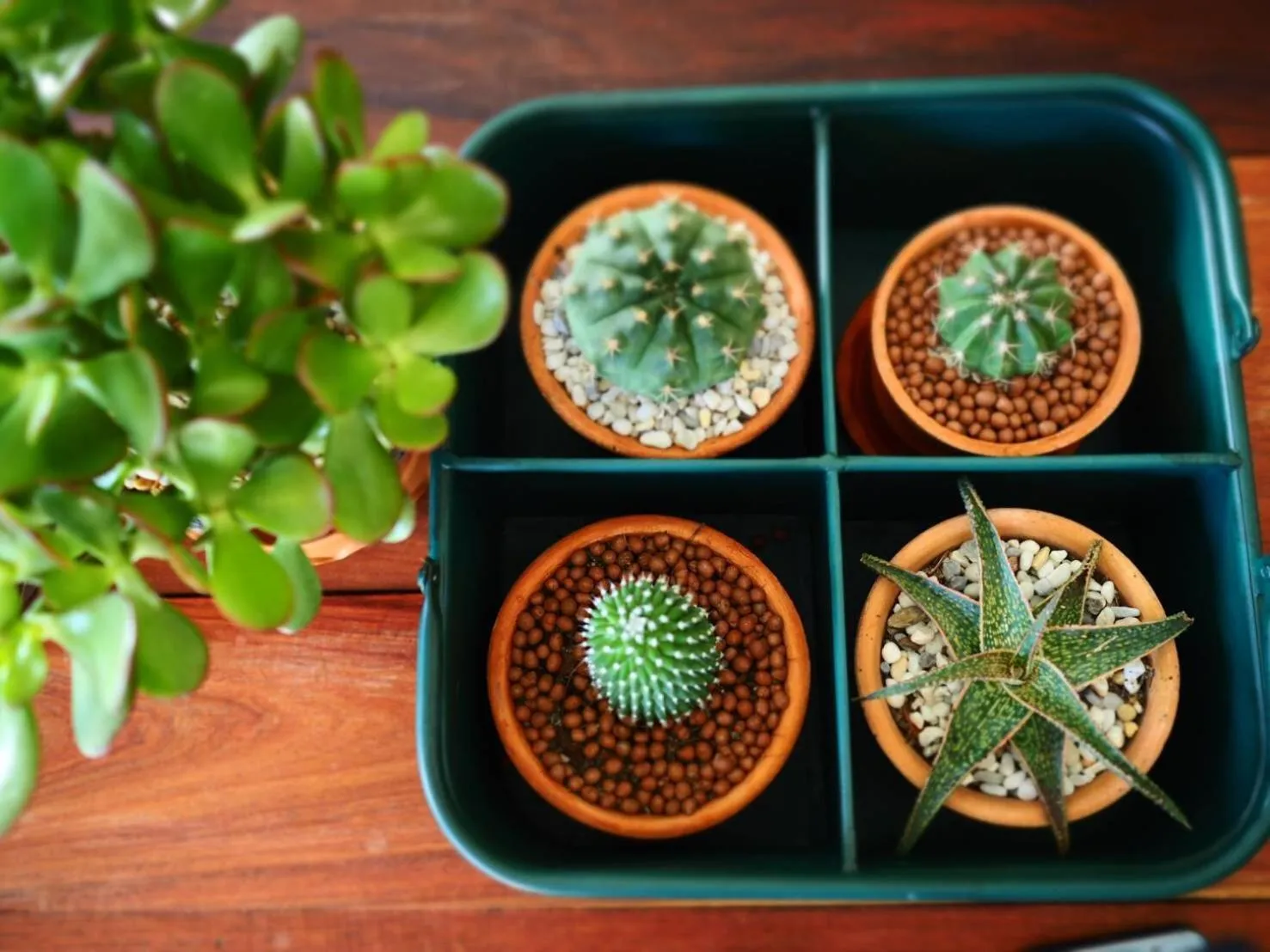 Decorative detail in Chernchan Hostel