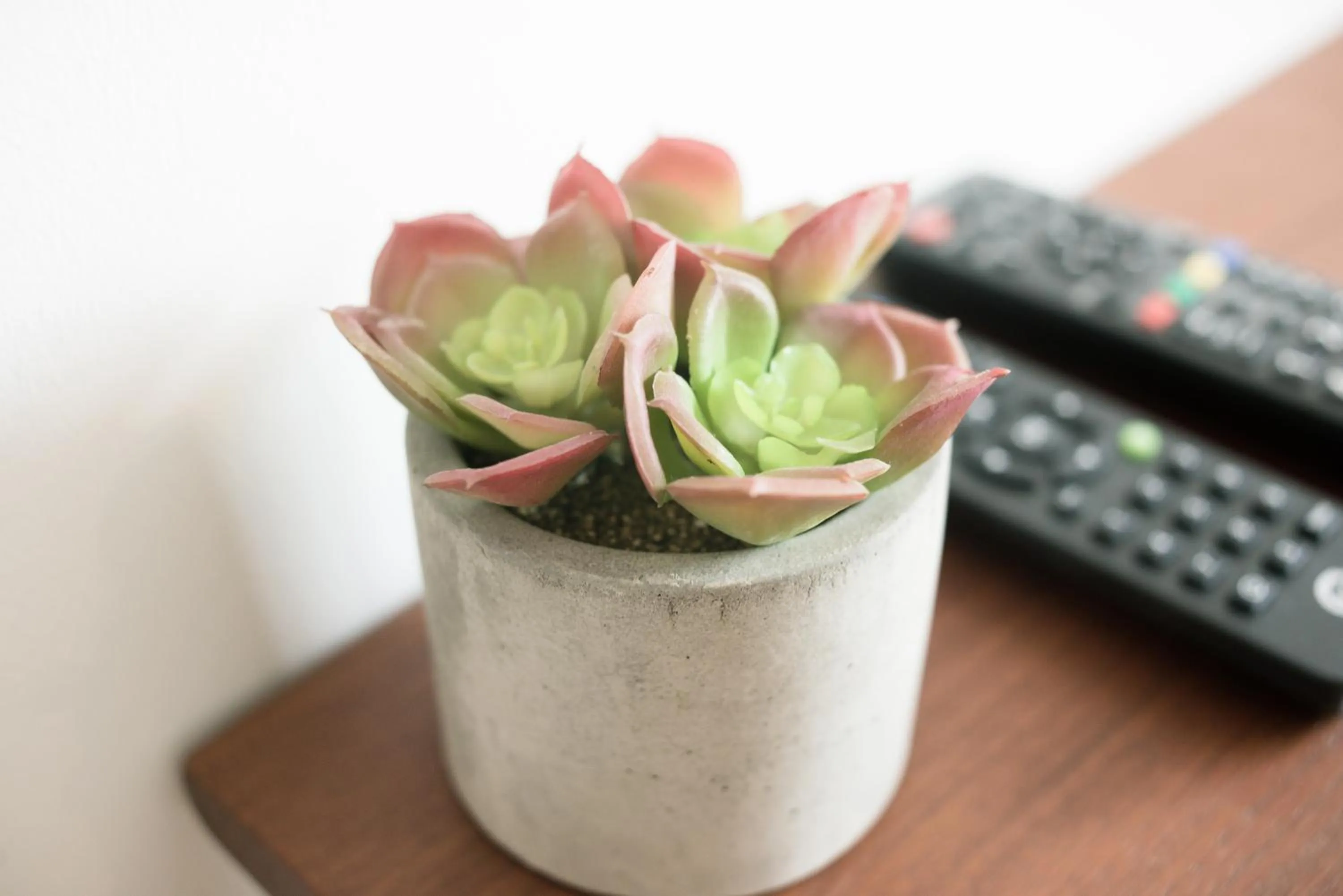 Living room in Chernchan Hostel