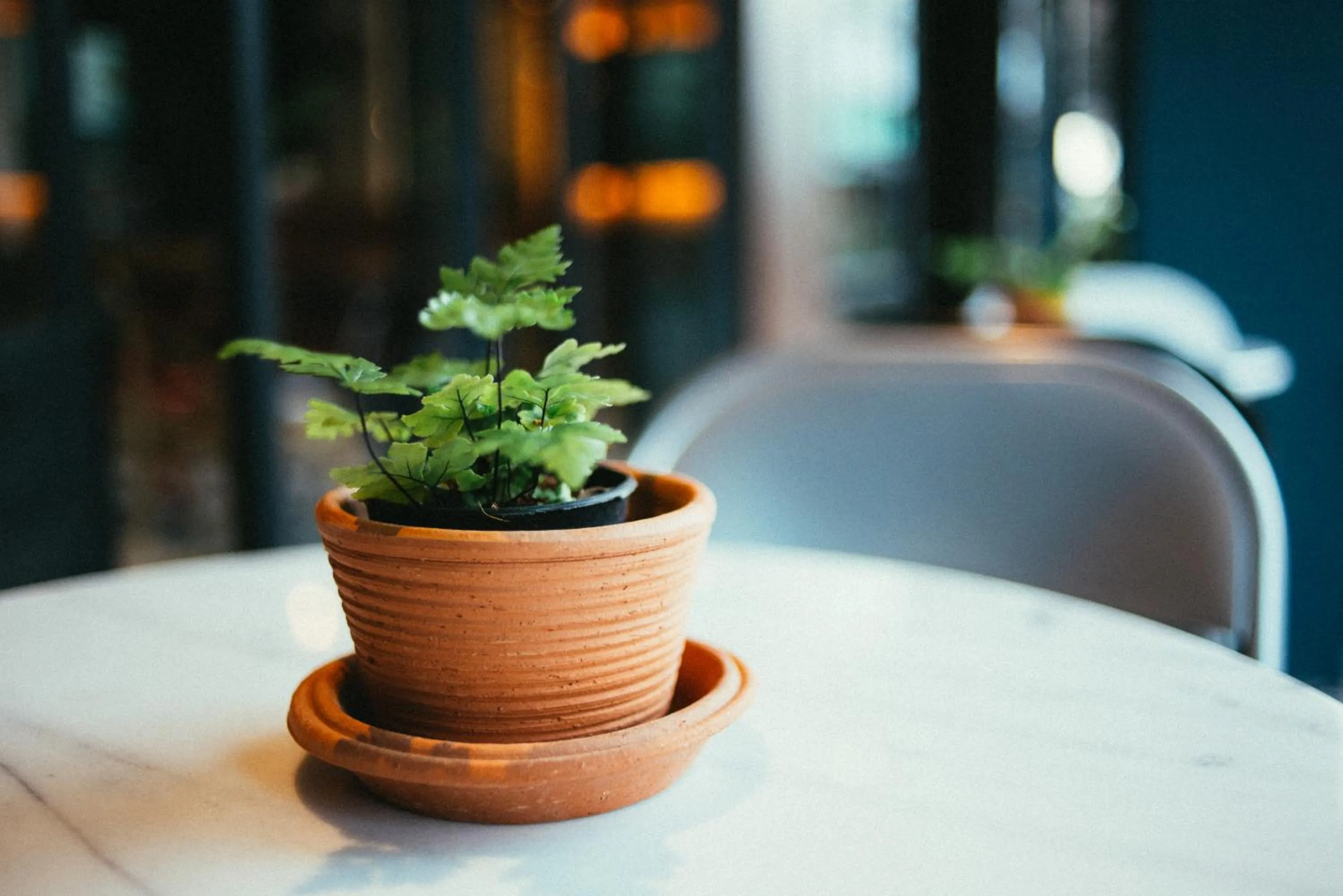 Other in Chernchan Hostel