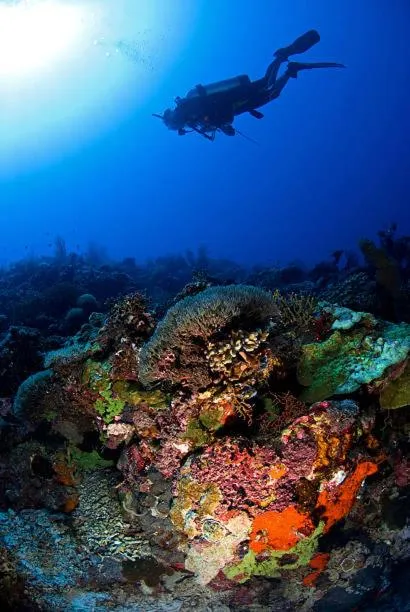 Activities in Batu Ampar Menjangan