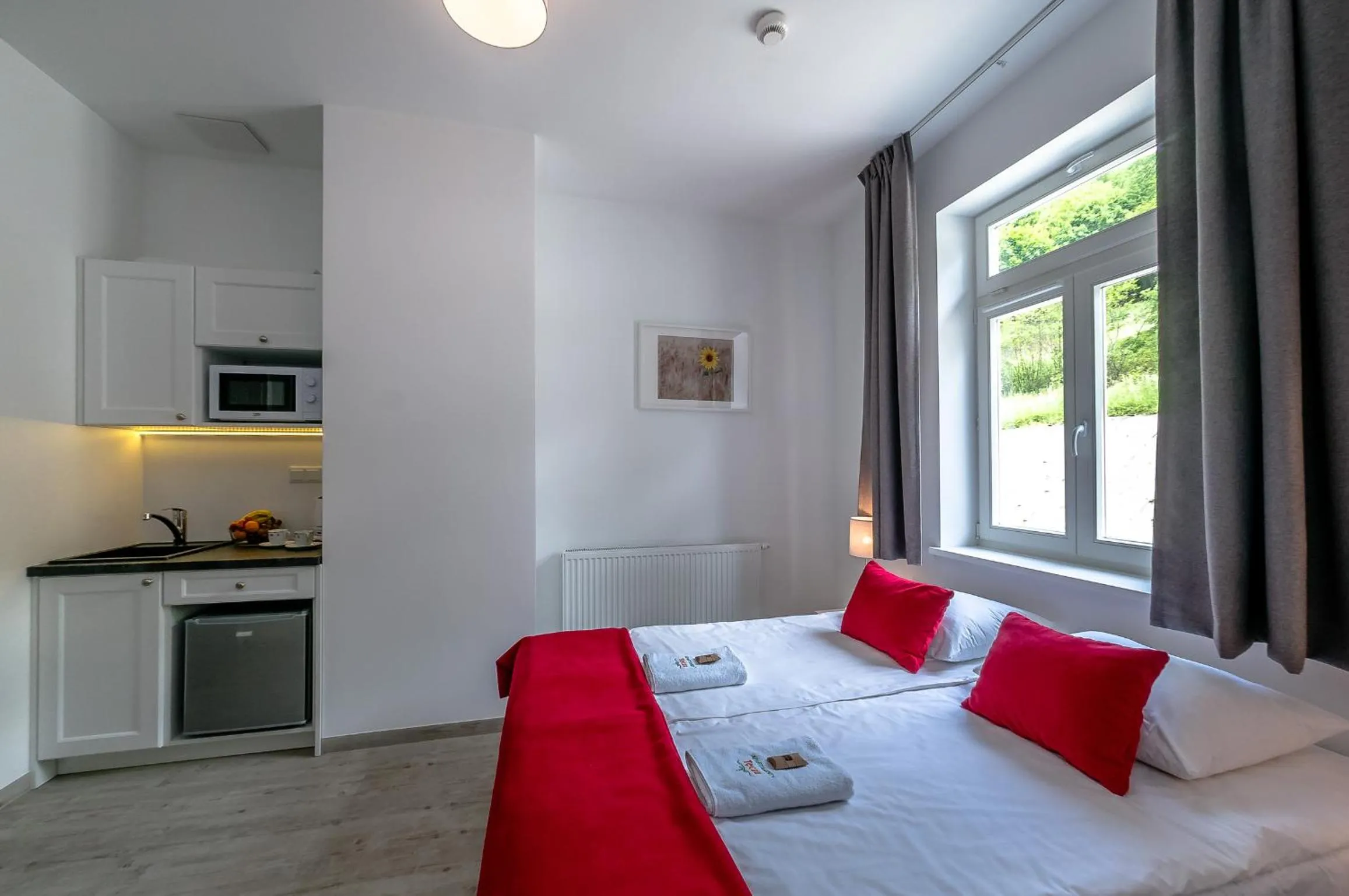 Double Room in Willa Tęcza