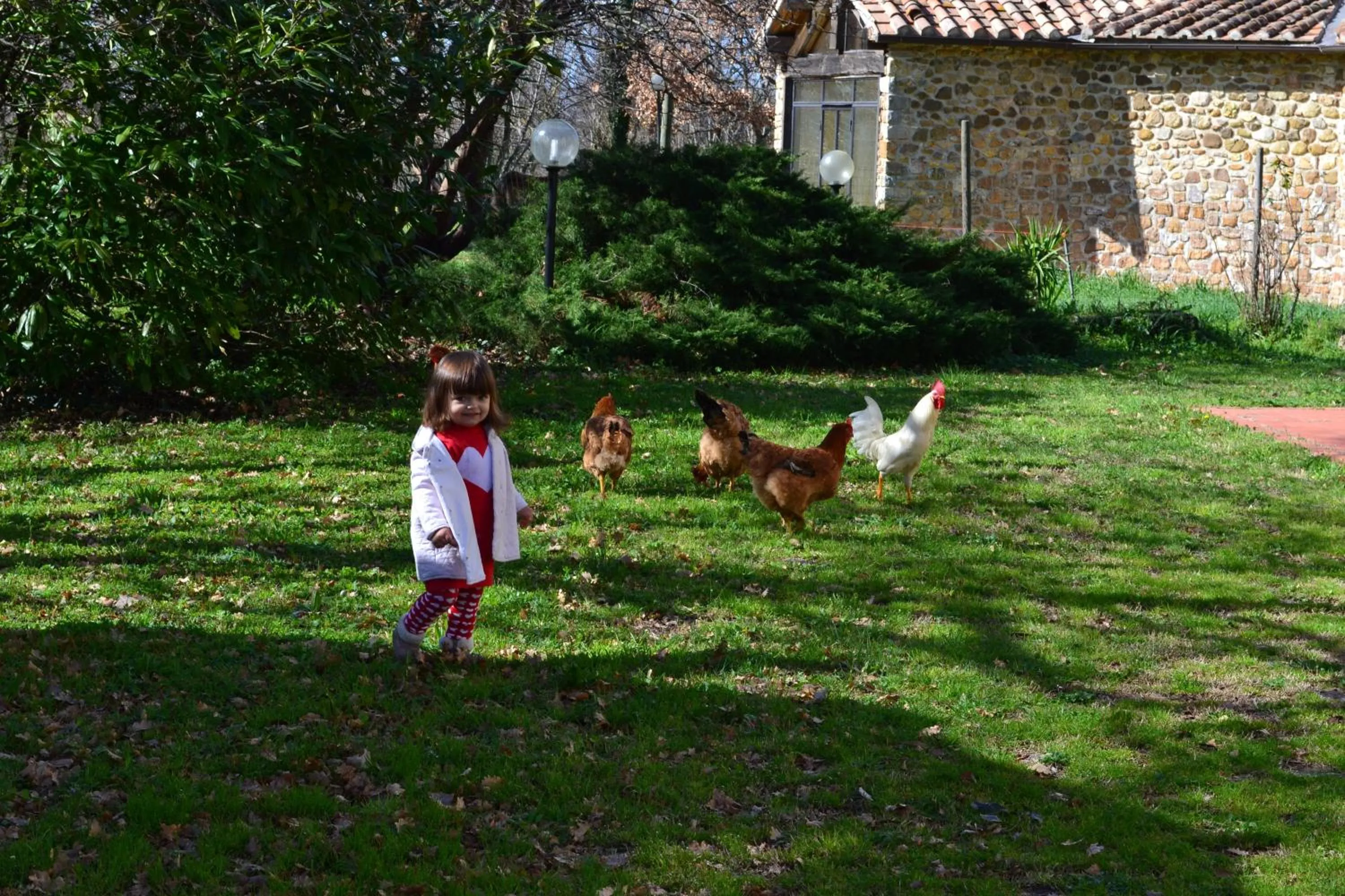 Garden in Relais Ciavatta Country Hotel