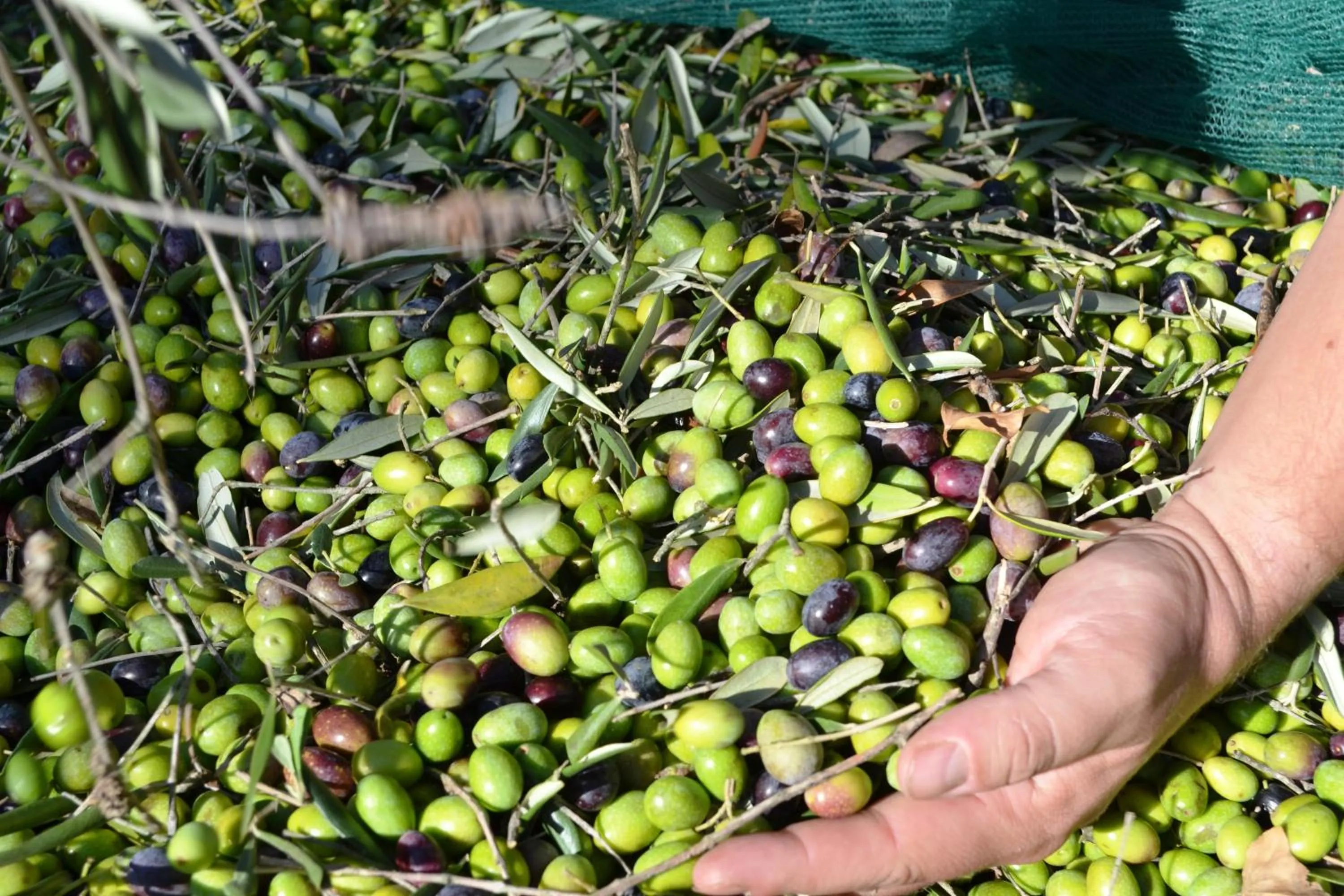 Activities in Relais Ciavatta Country Hotel