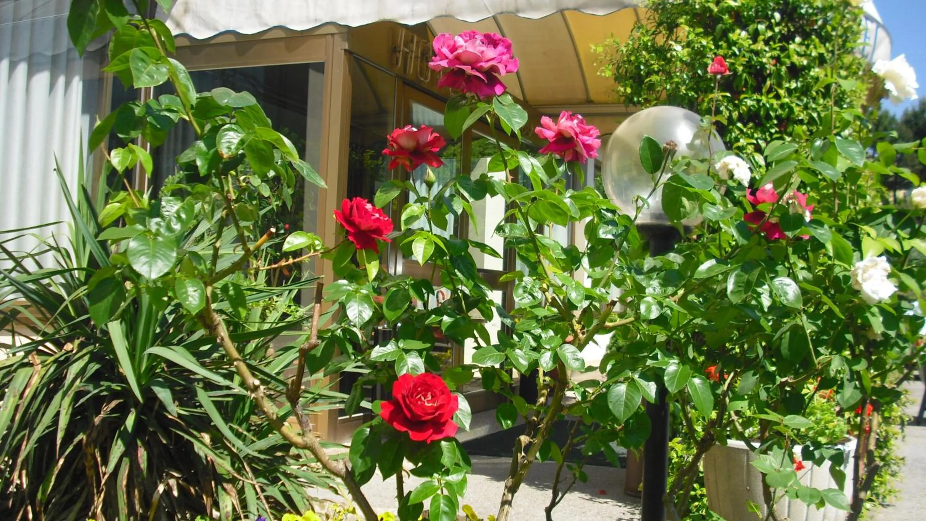 Garden in Park Hotel Galileo