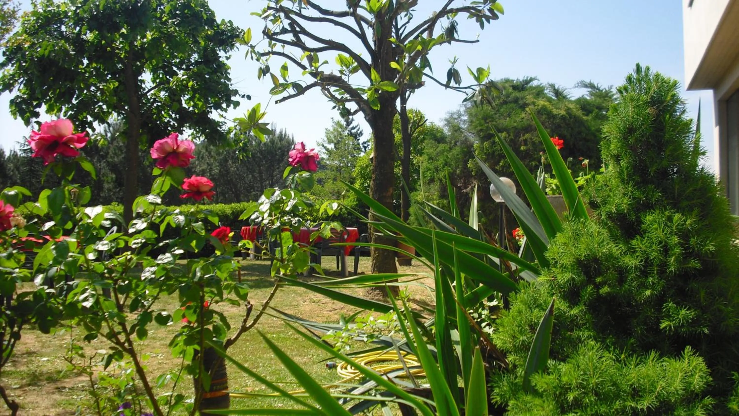 Garden in Park Hotel Galileo