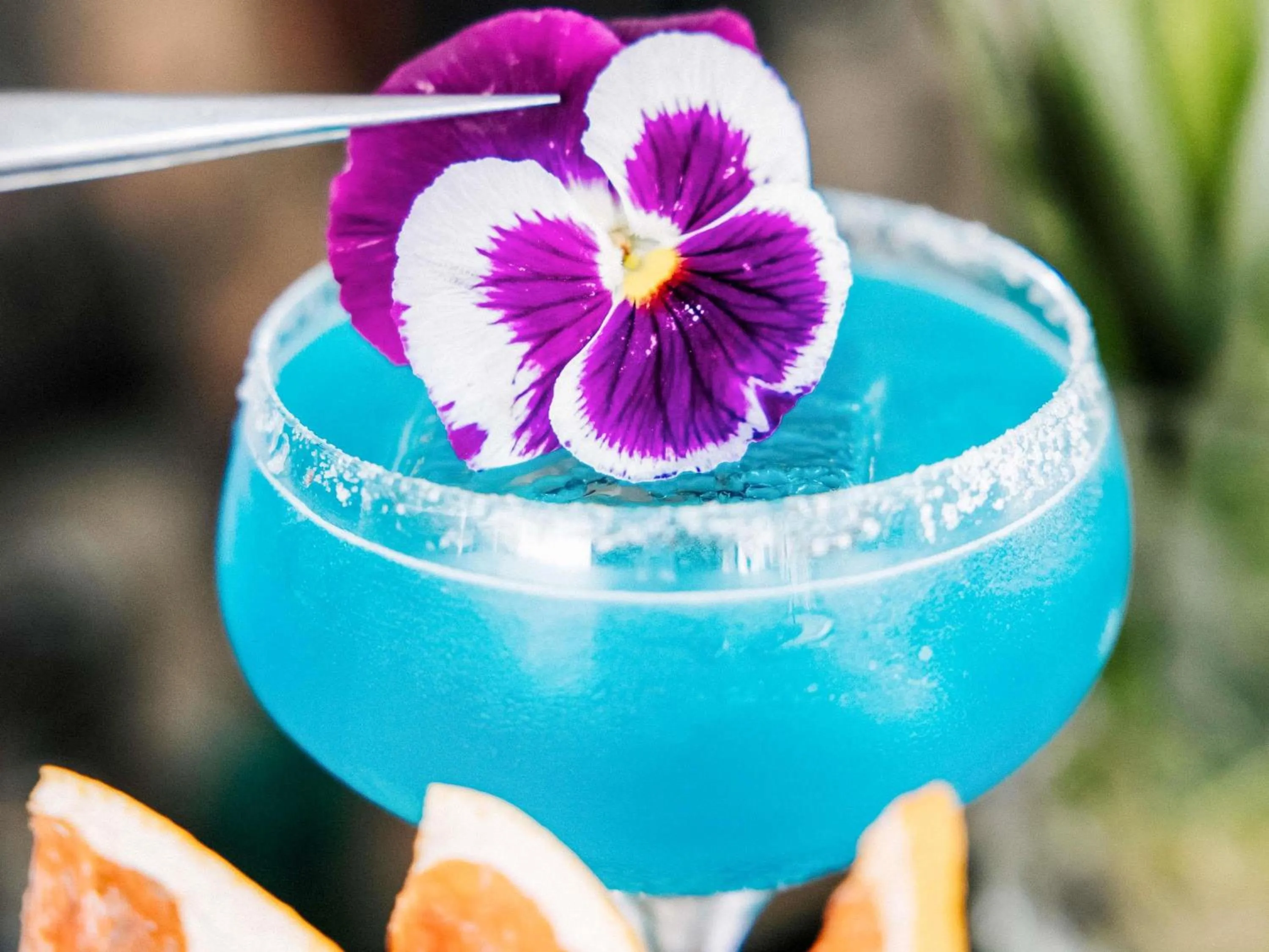 Restaurant/places to eat in Mondrian Cannes