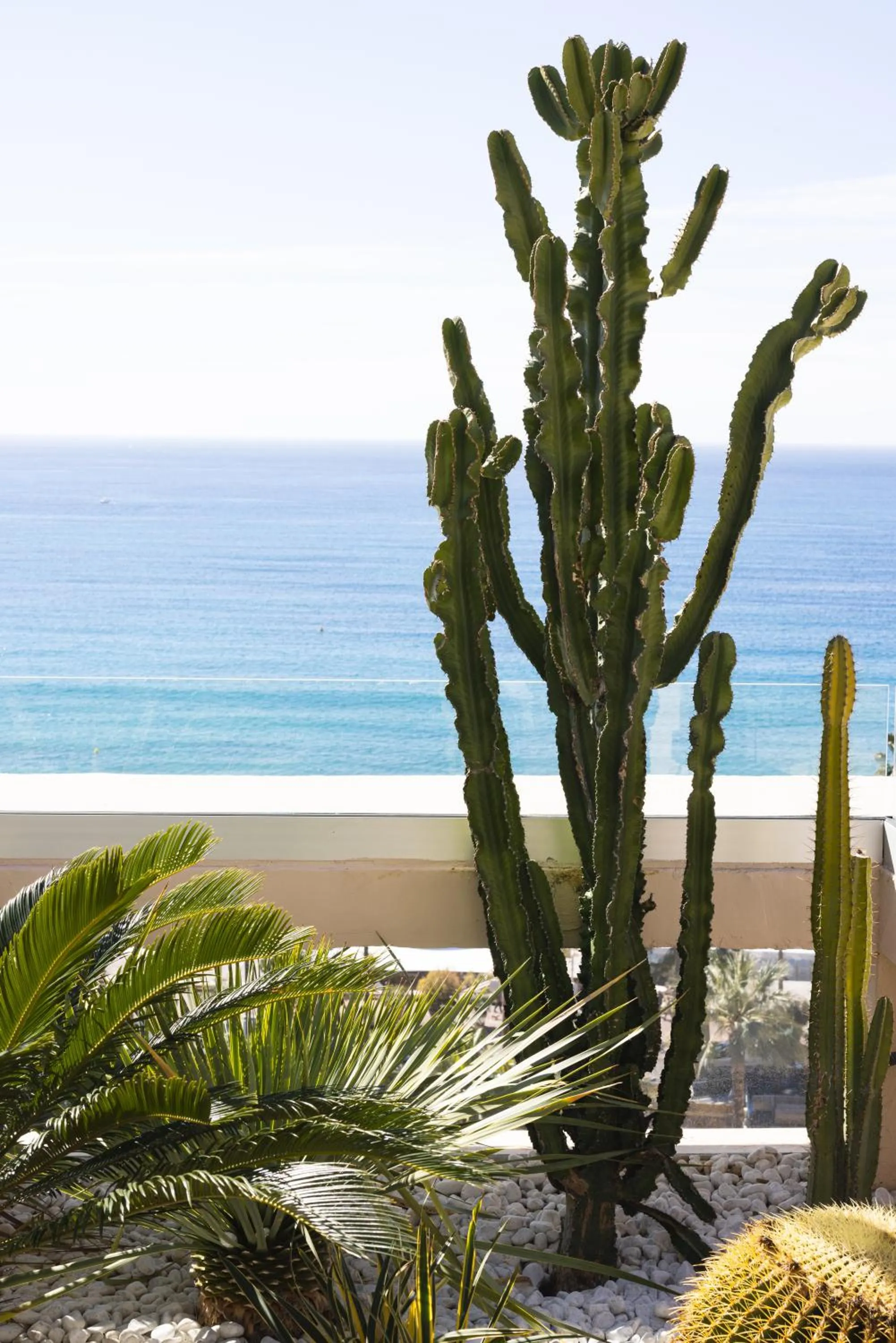 Natural landscape in Mondrian Cannes