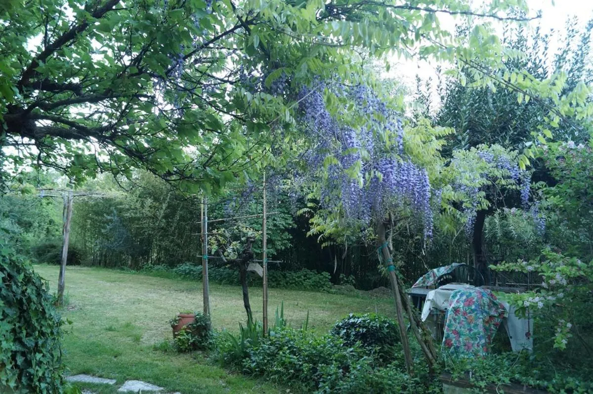 Garden in Bed and breakfast Il Governatore