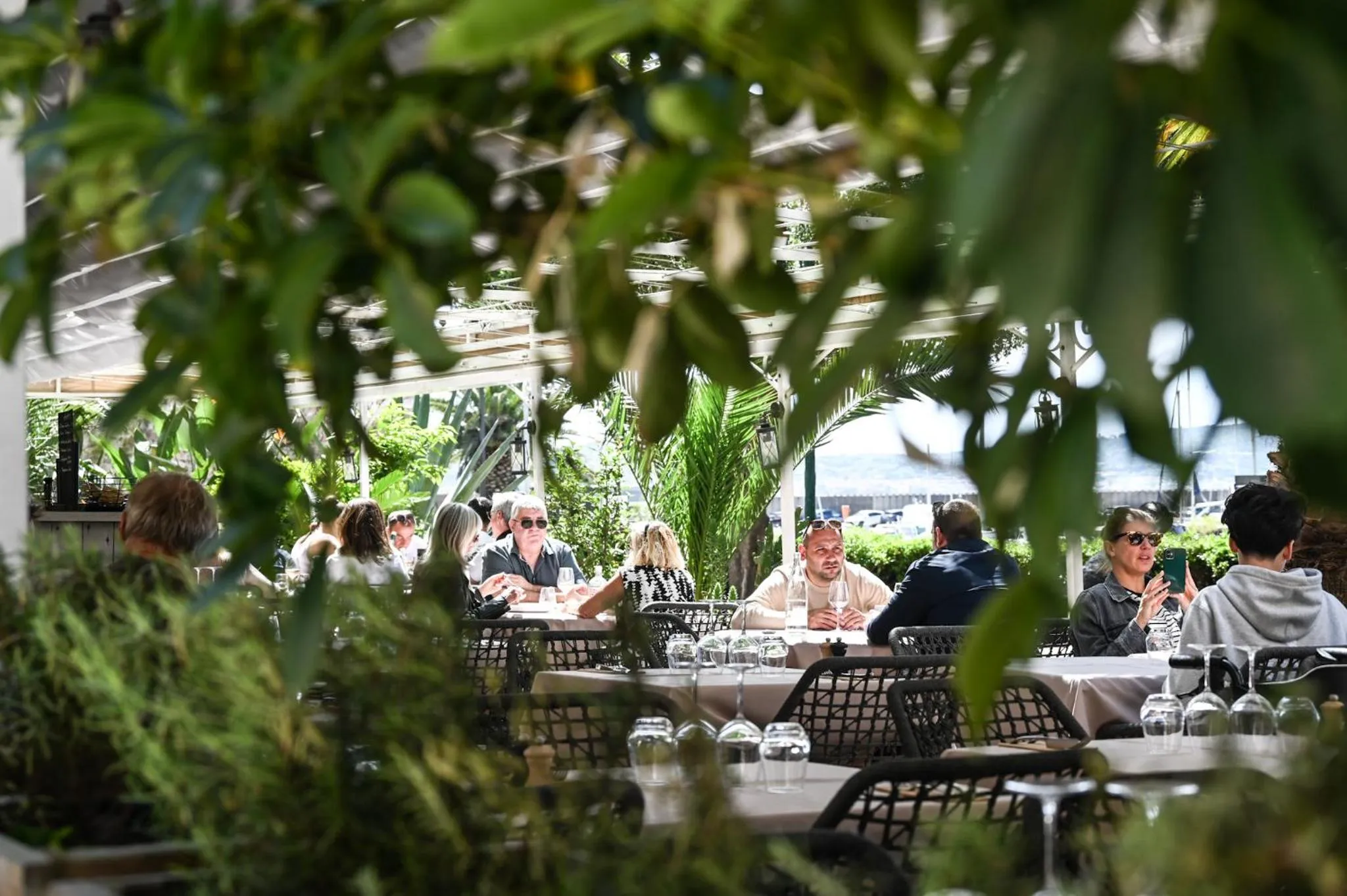 Restaurant/places to eat in Hotel Les Palmiers