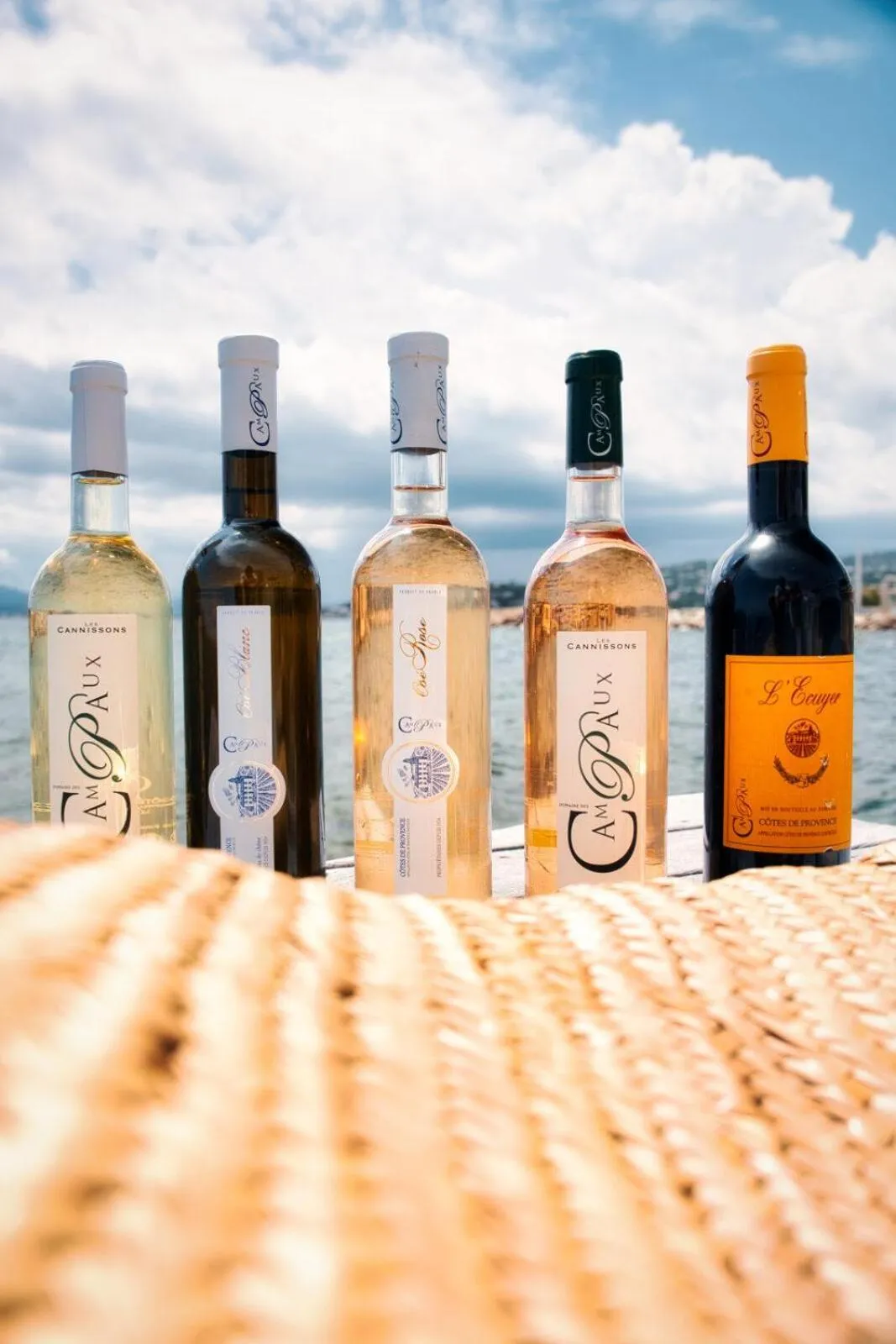 Lounge or bar in Hotel Les Palmiers