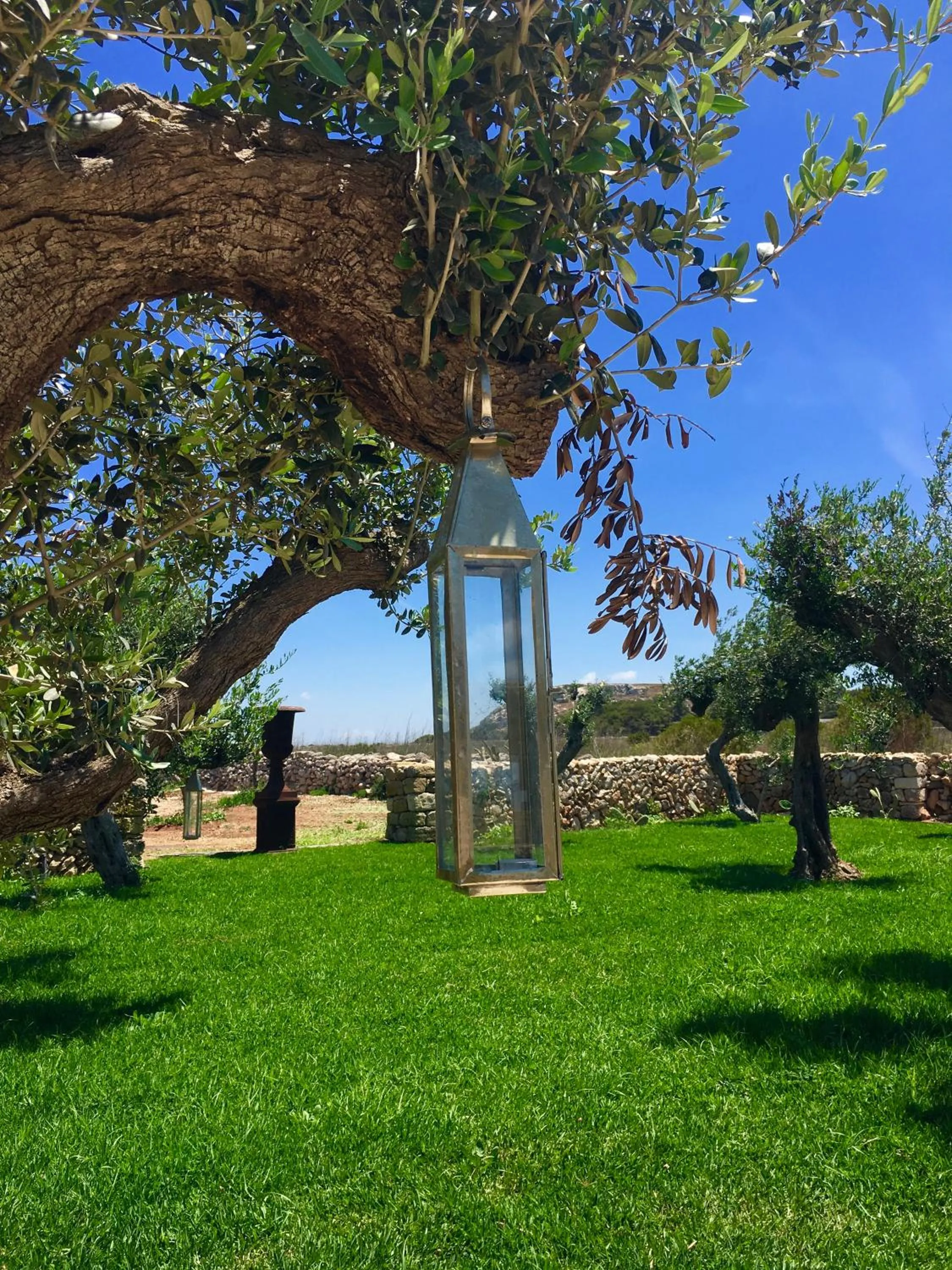 Garden in Il Baglio sull'Acqua