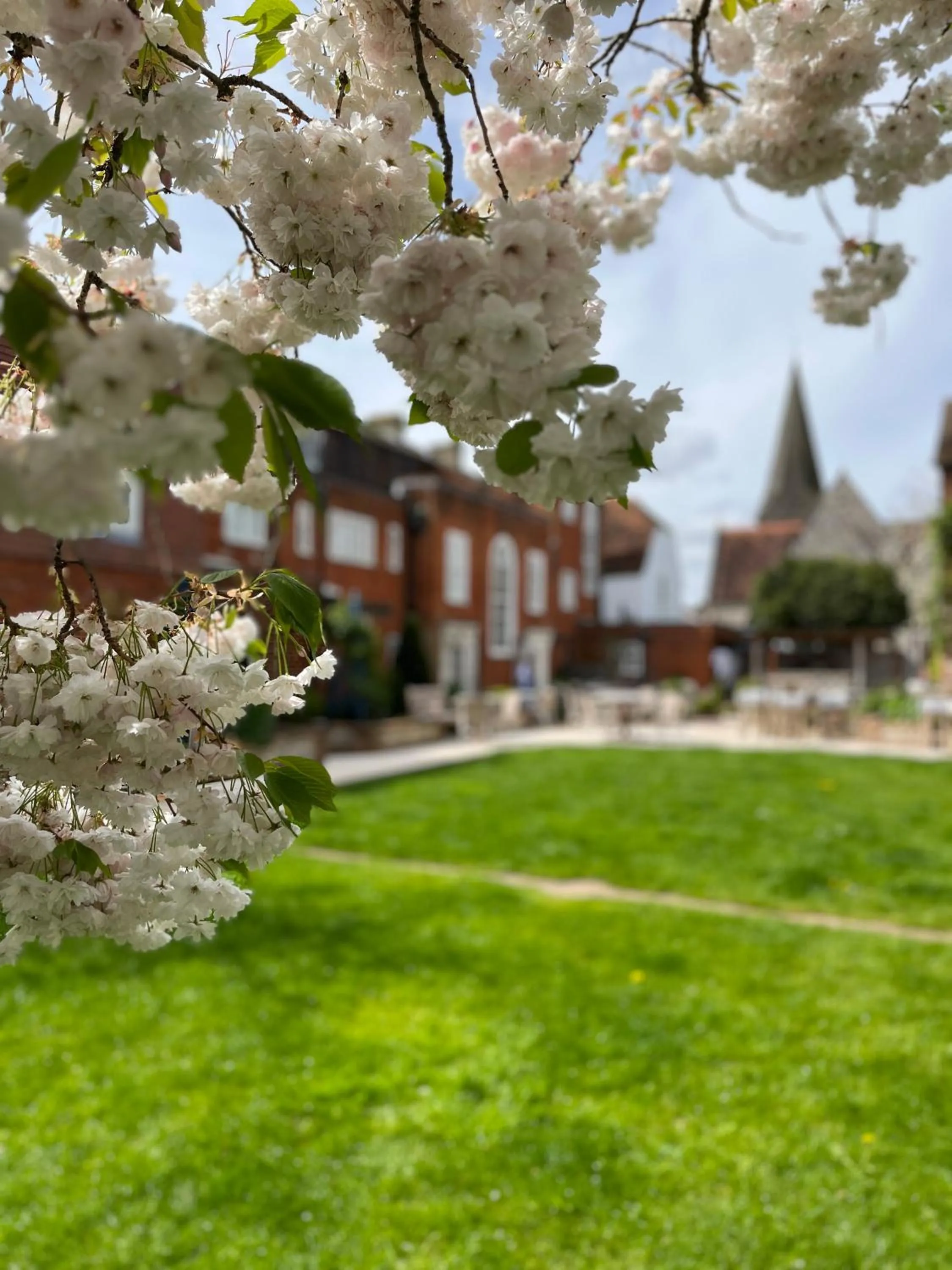 Garden in The Grosvenor Stockbridge