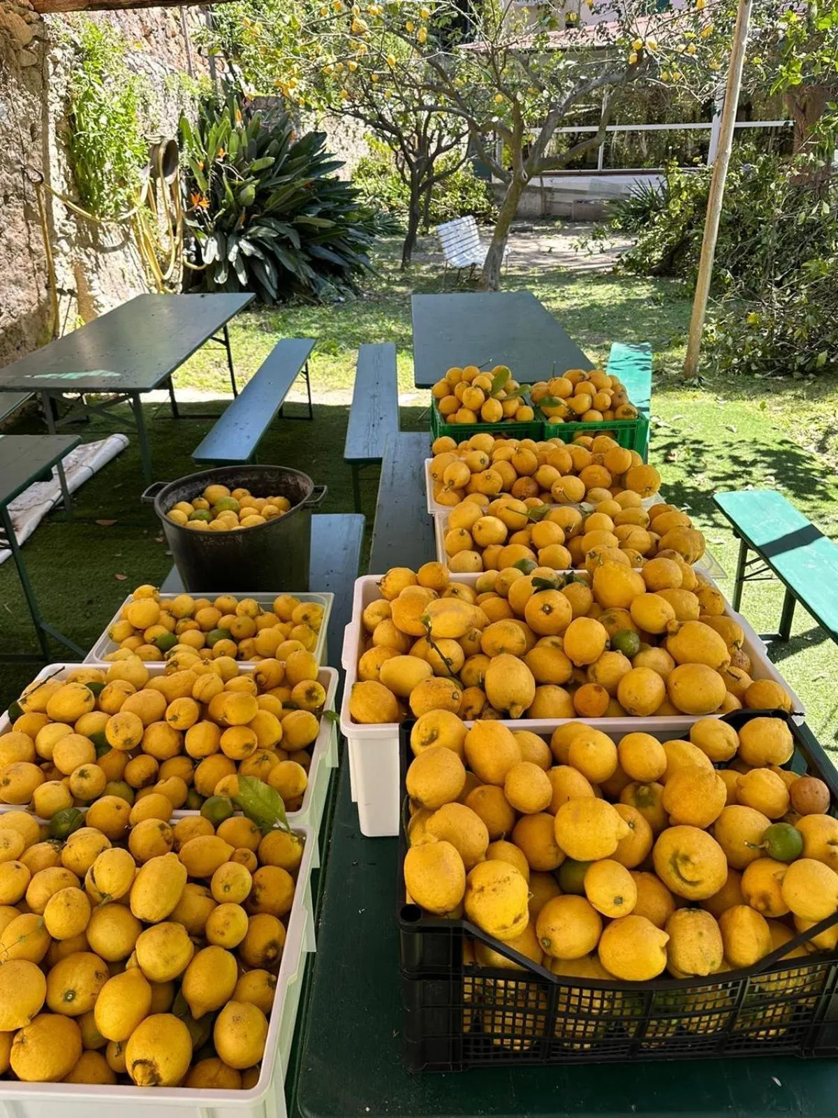 Property building in Hotel Florenz