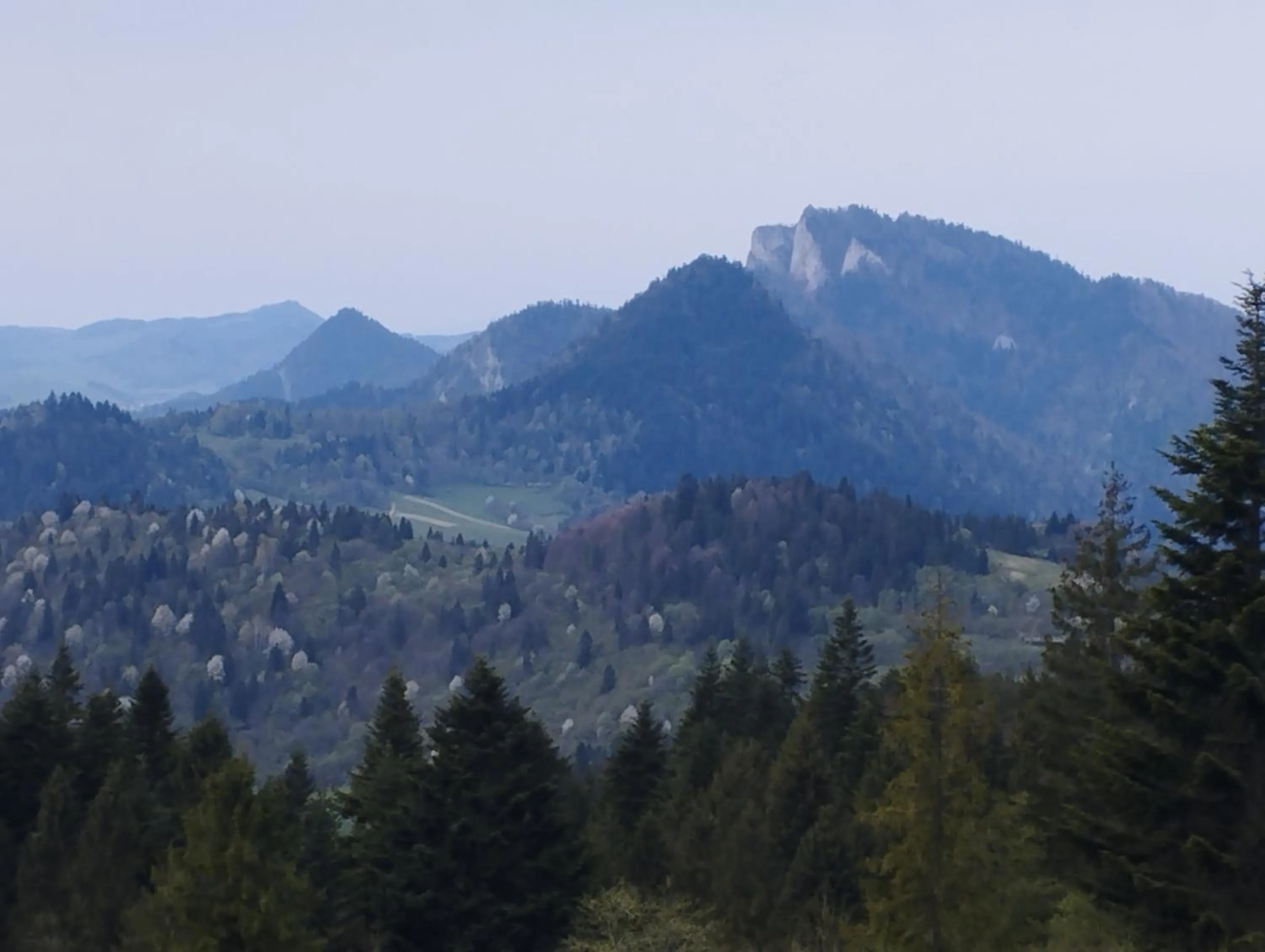 Apartament JBF Homole