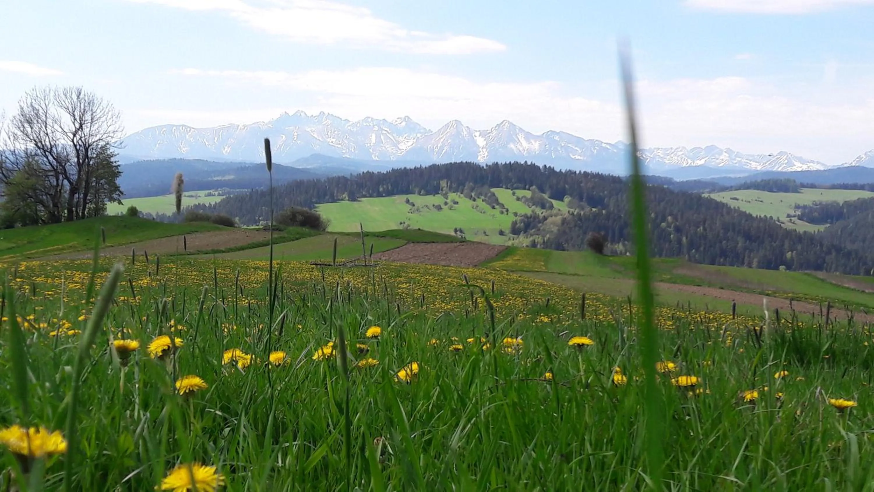 Off site in Apartament JBF Homole