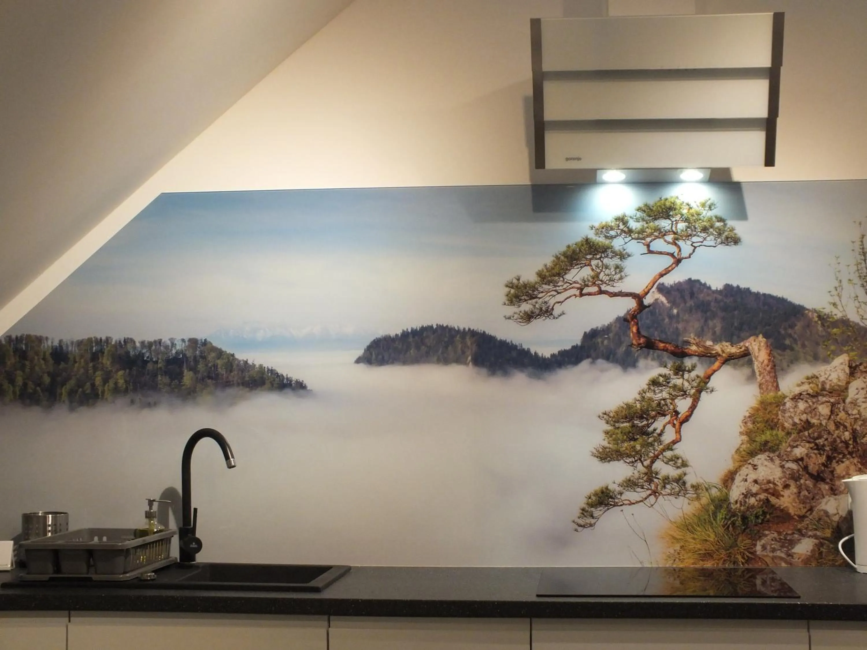 Kitchen or kitchenette in Apartament JBF Homole