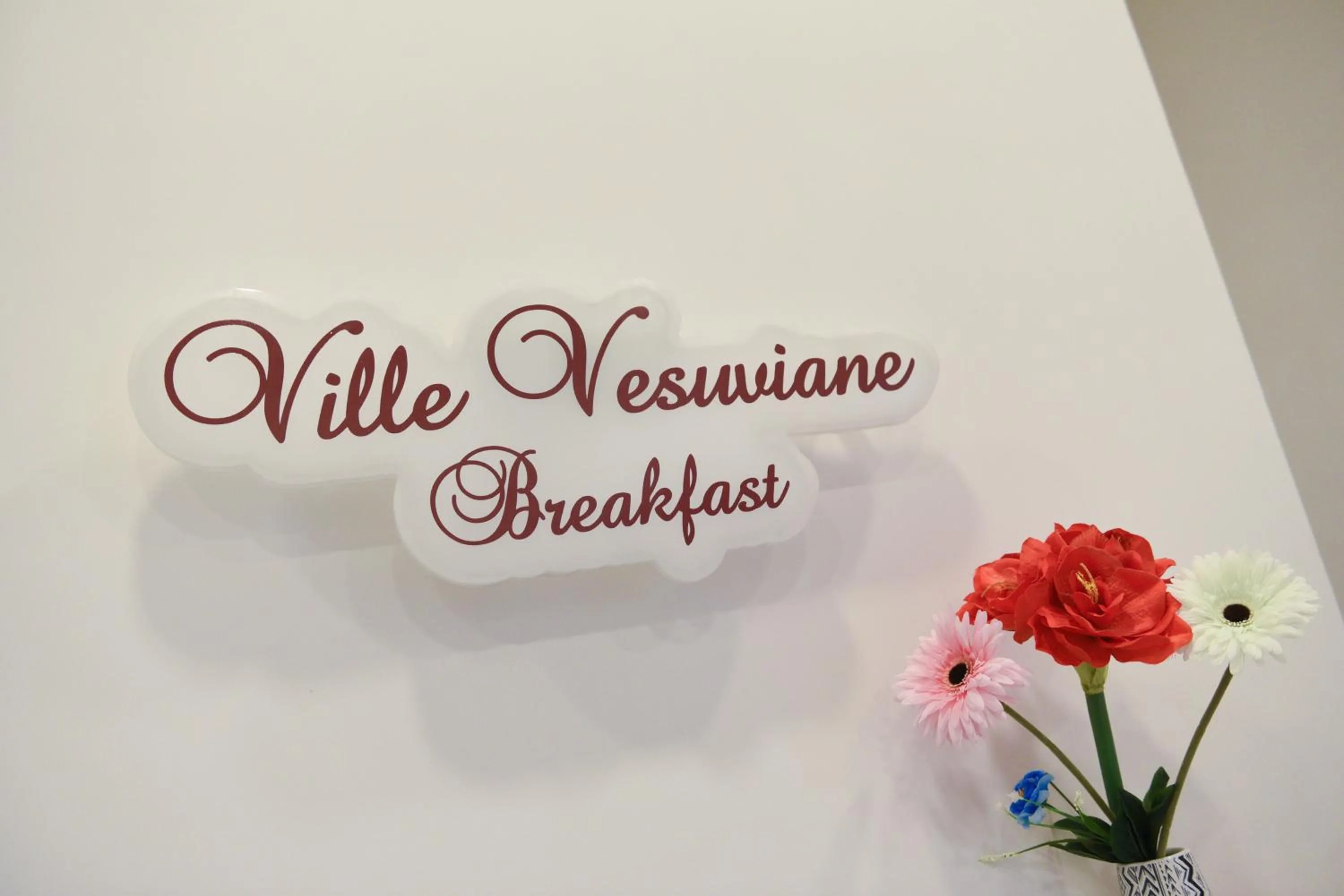 Ville Vesuviane