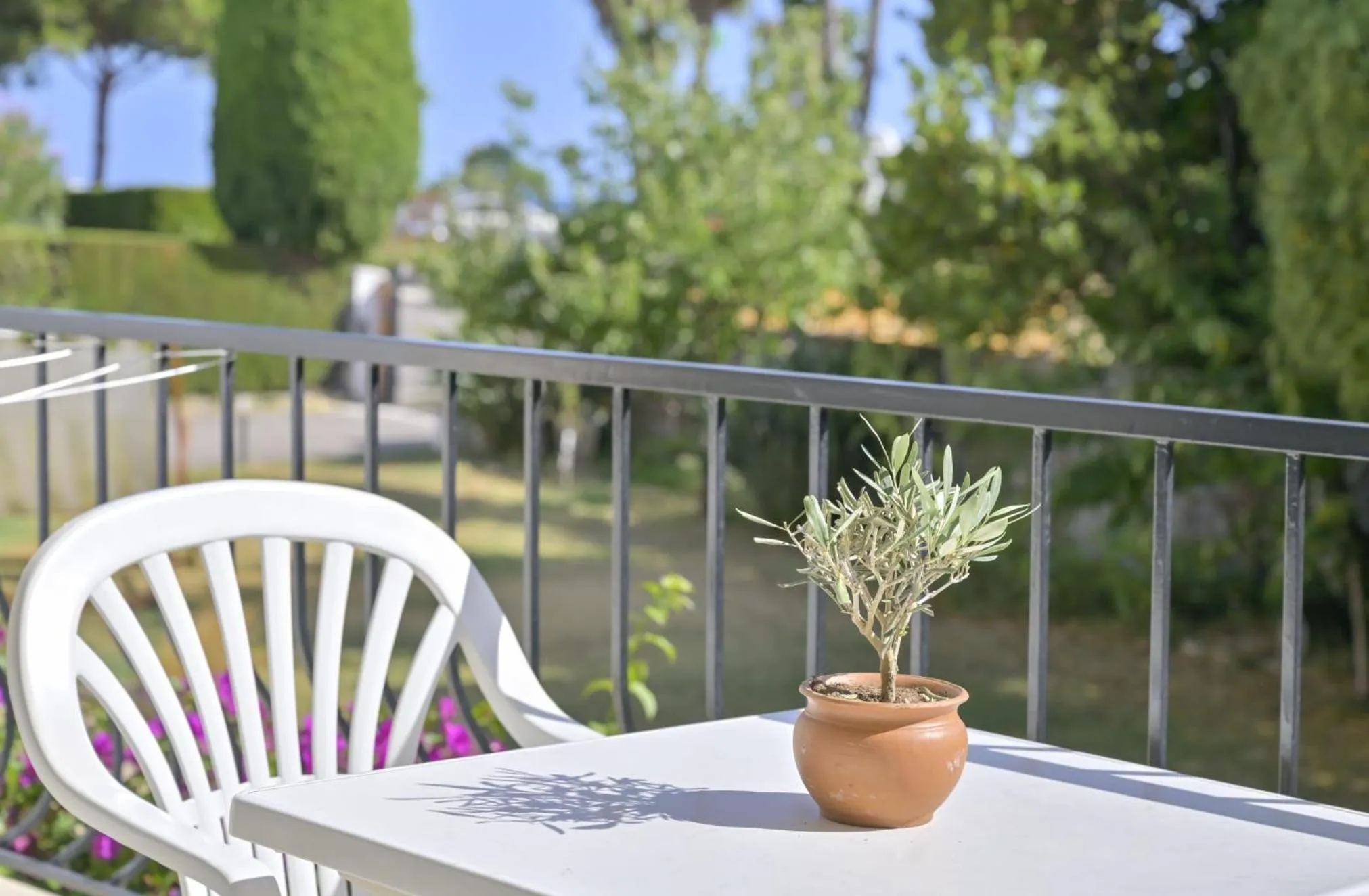 Balcony/Terrace in MOTEL ASCOT - Hotel & Appartements