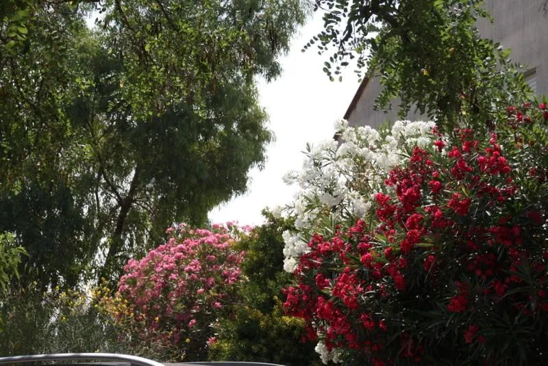 Hôtel restaurant LOGIS HOTELLERIE DE BALAJAN