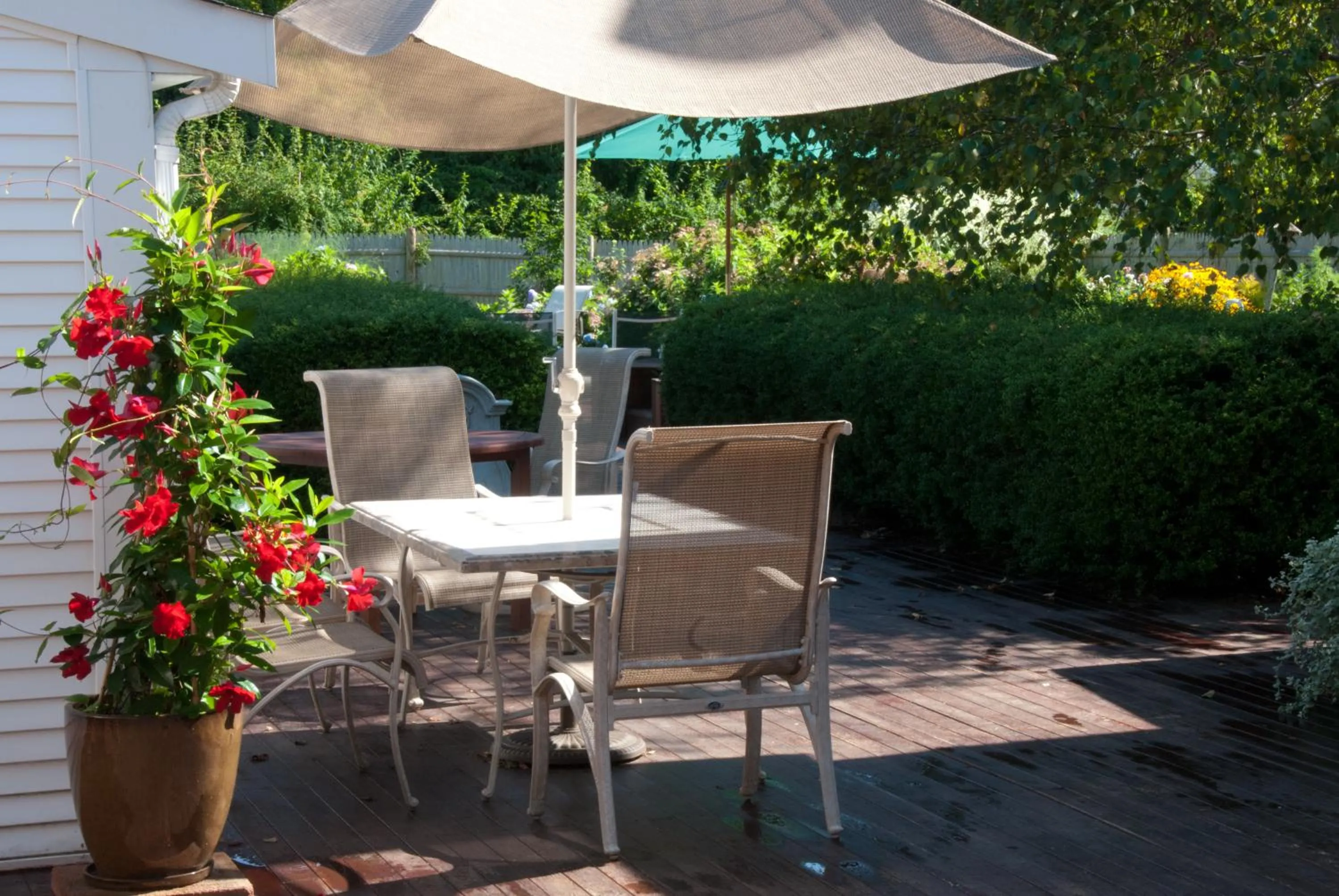 Garden in Brewster by the Sea Inn